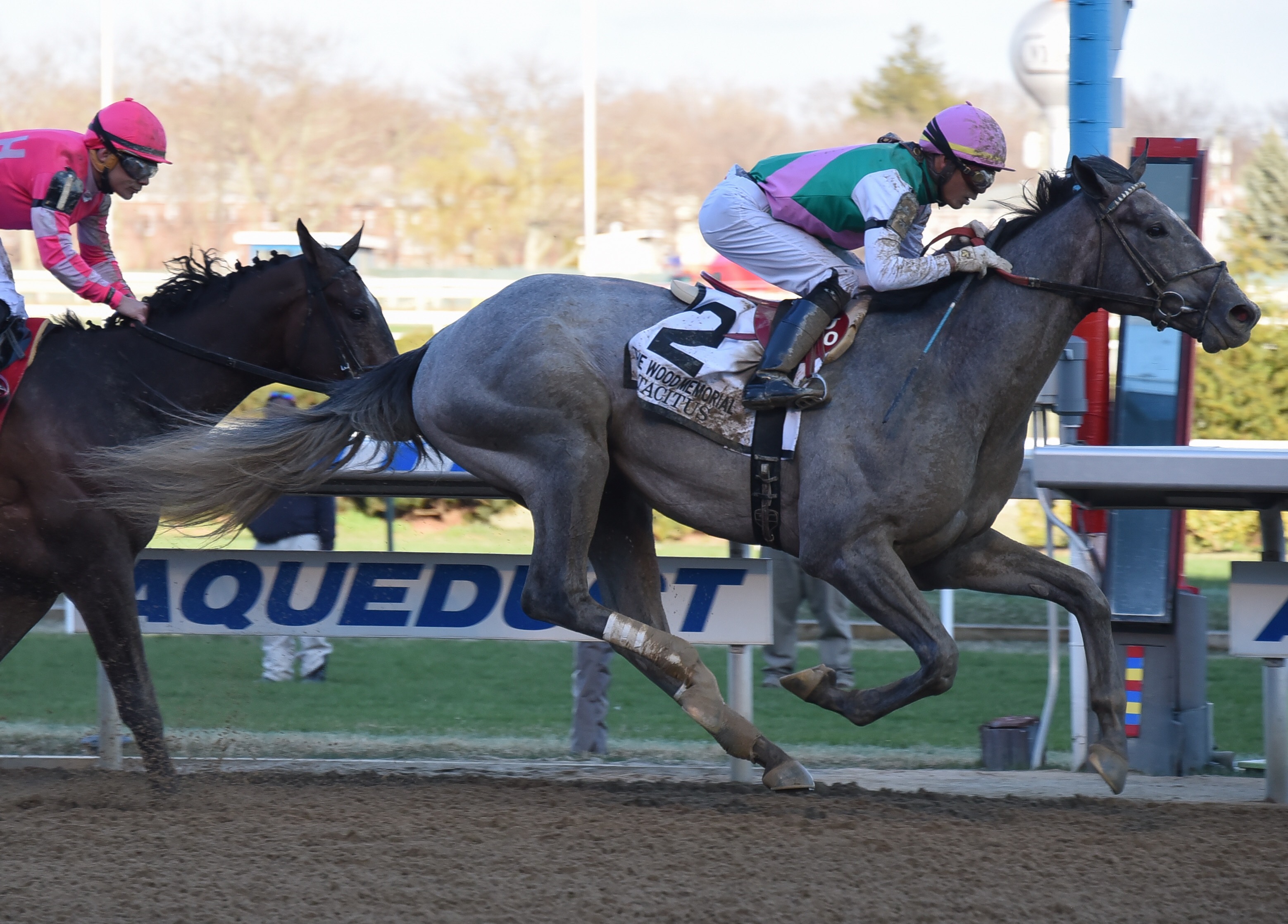 Tacitus wins the 2019 Wood Memorial