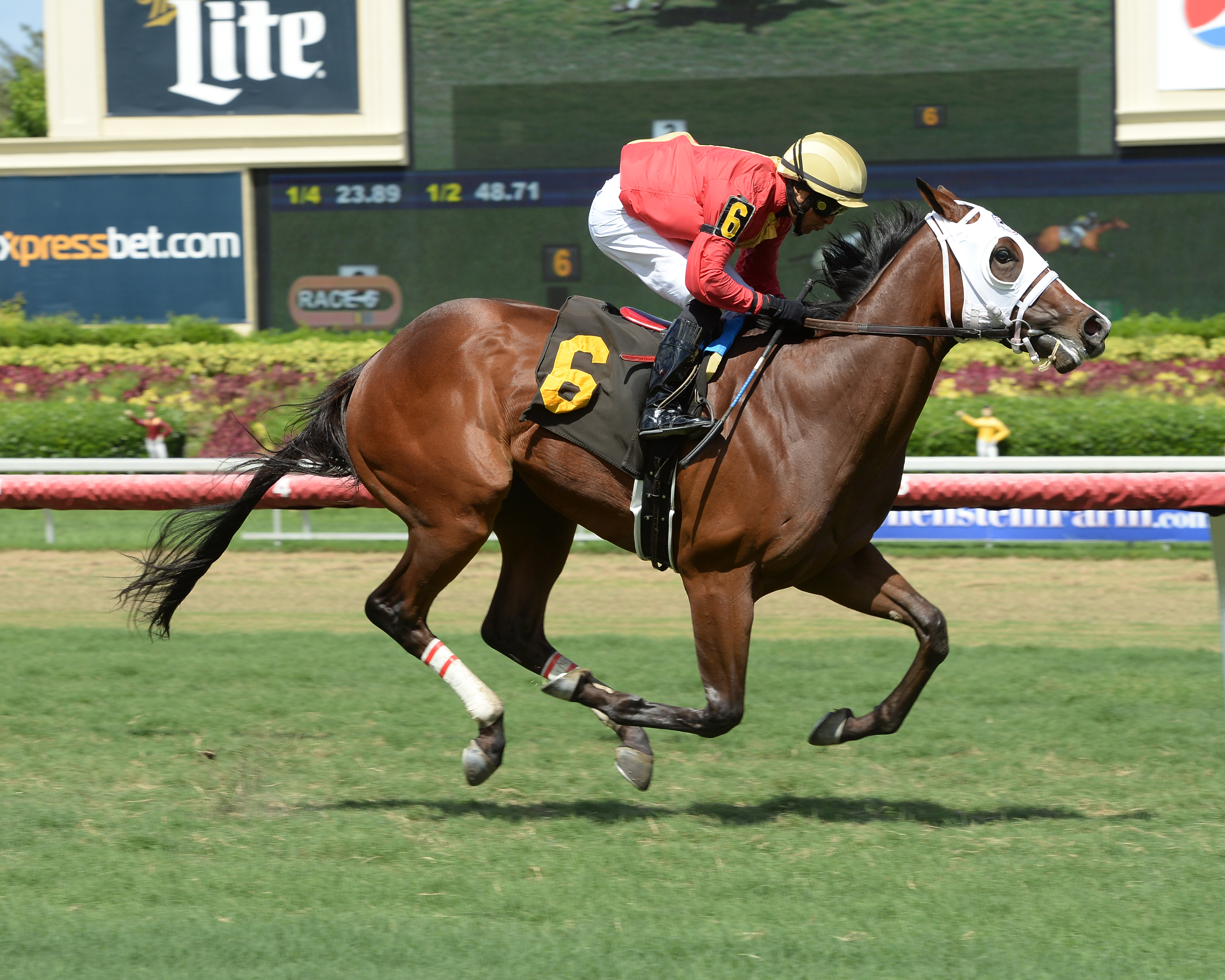 Taco wins an optional claiming race
