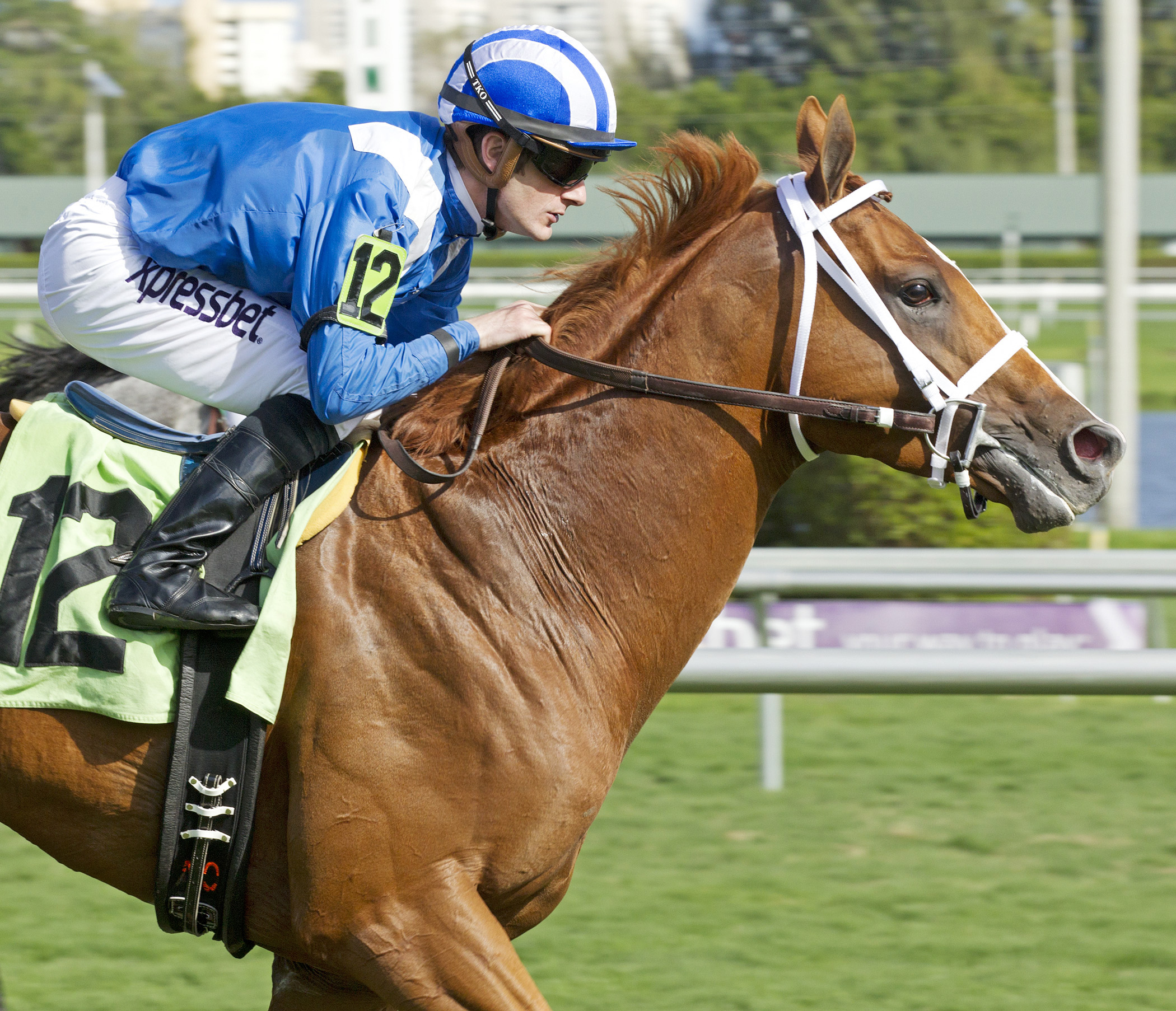 Taghleeb wins an allowance race in January 2015
