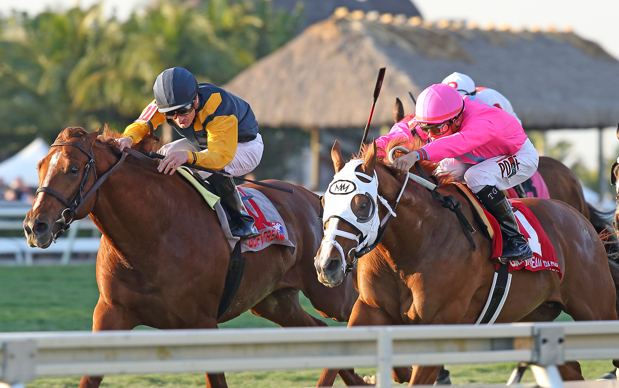 Taghleeb wins the W.L. McKnight Stakes