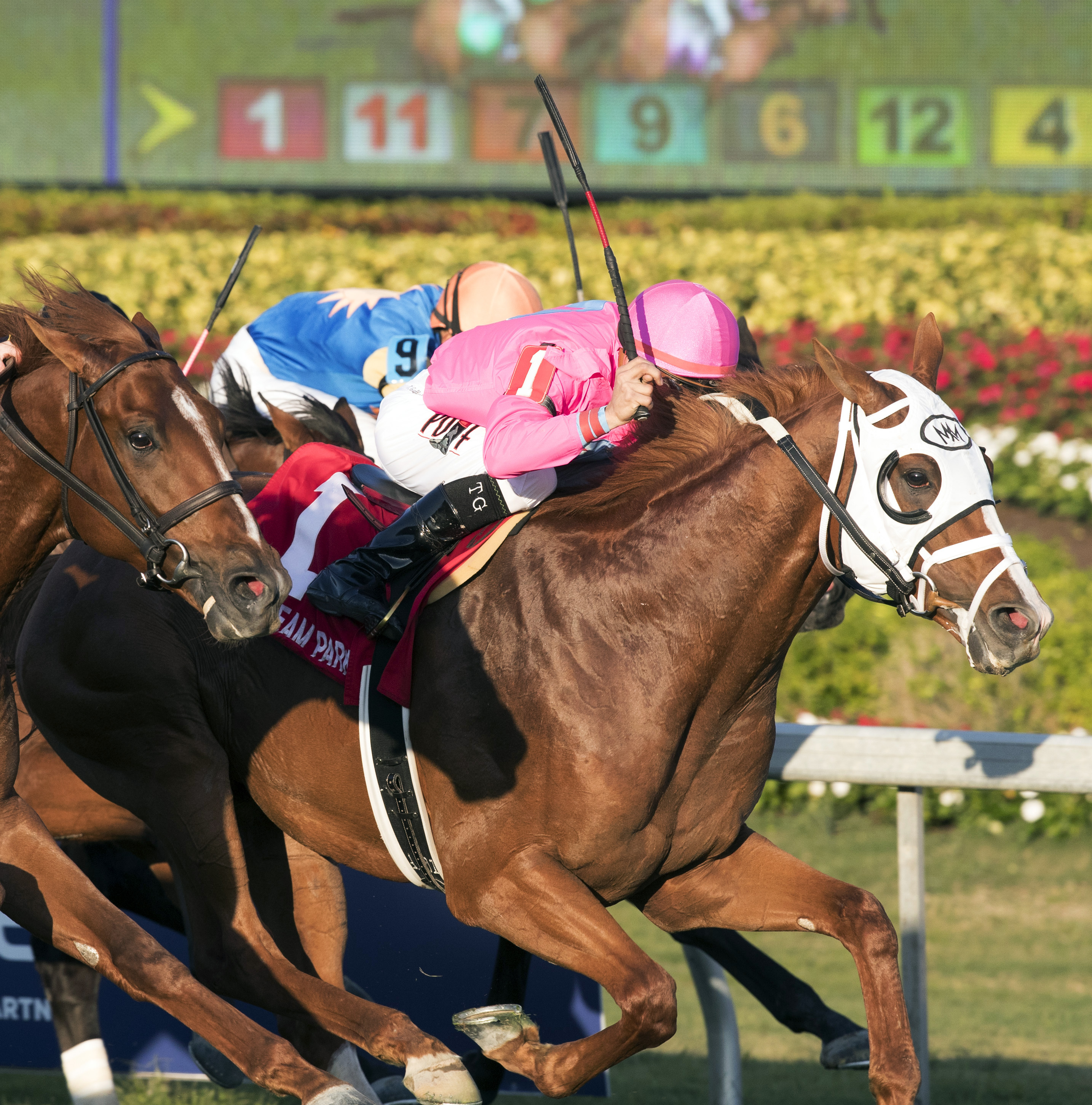 Taghleeb wins the W.L. McKnight Handicap