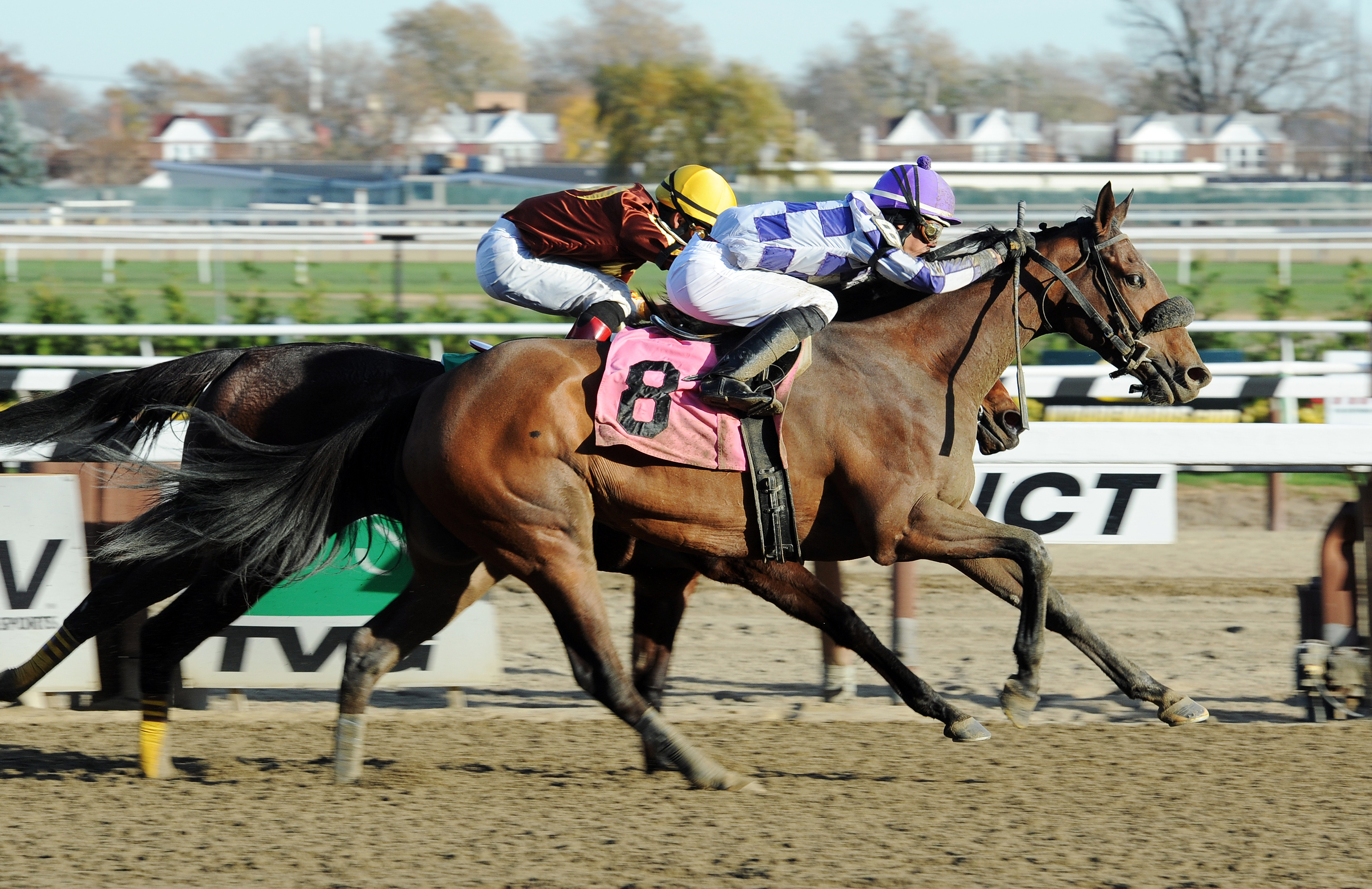 Tahoe Tigress wins an optional claimer in July 2013