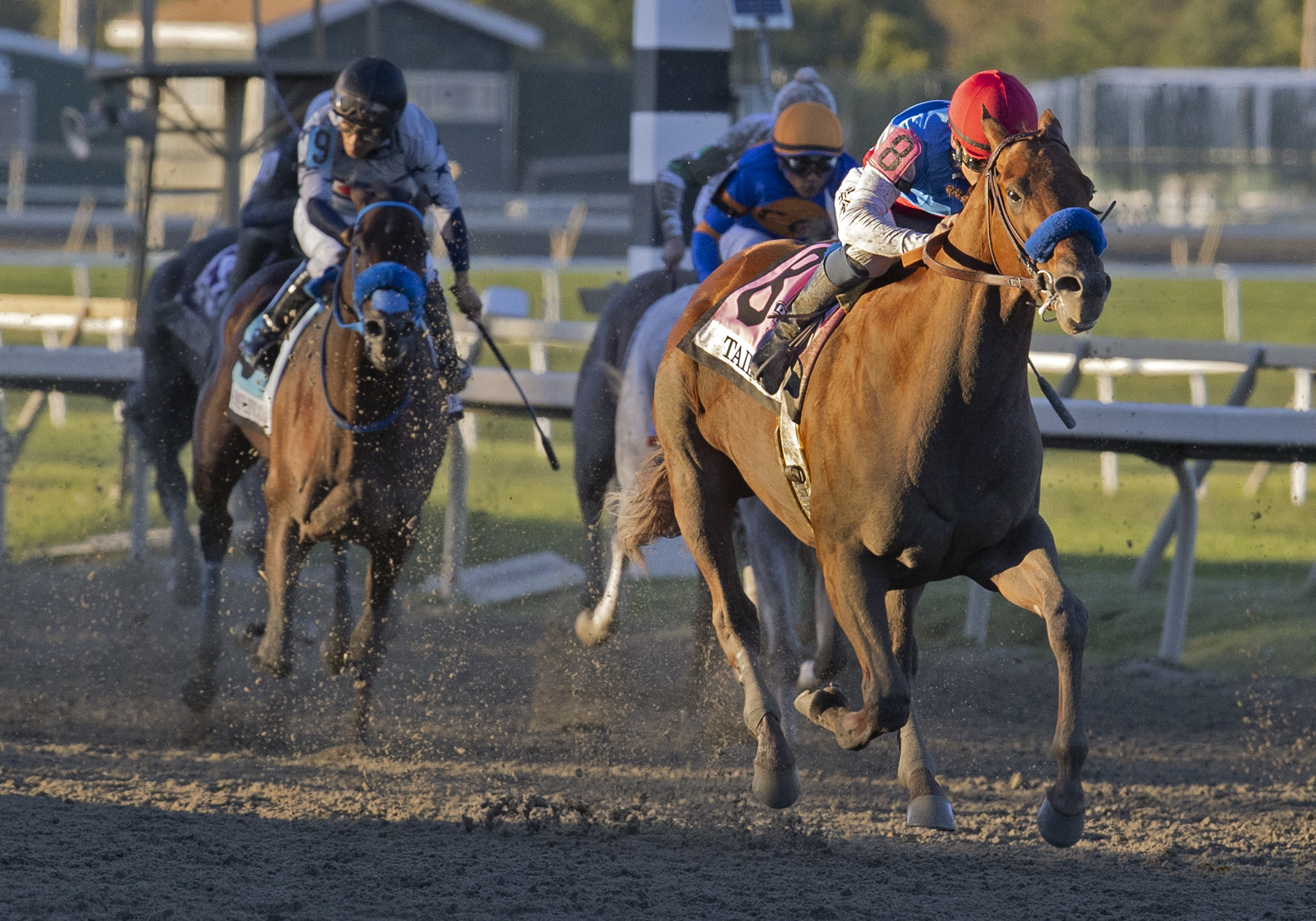 Taiba - Pennsylvania Derby 2022