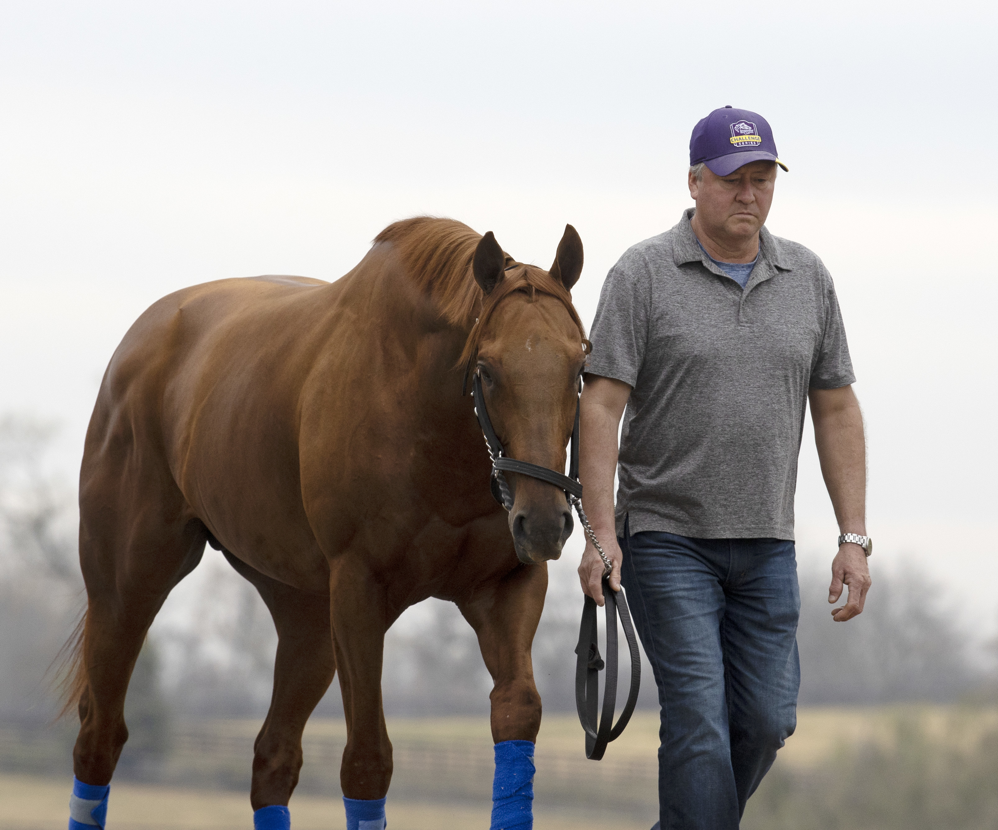 Taiba at Keeneland Nov 2 2022