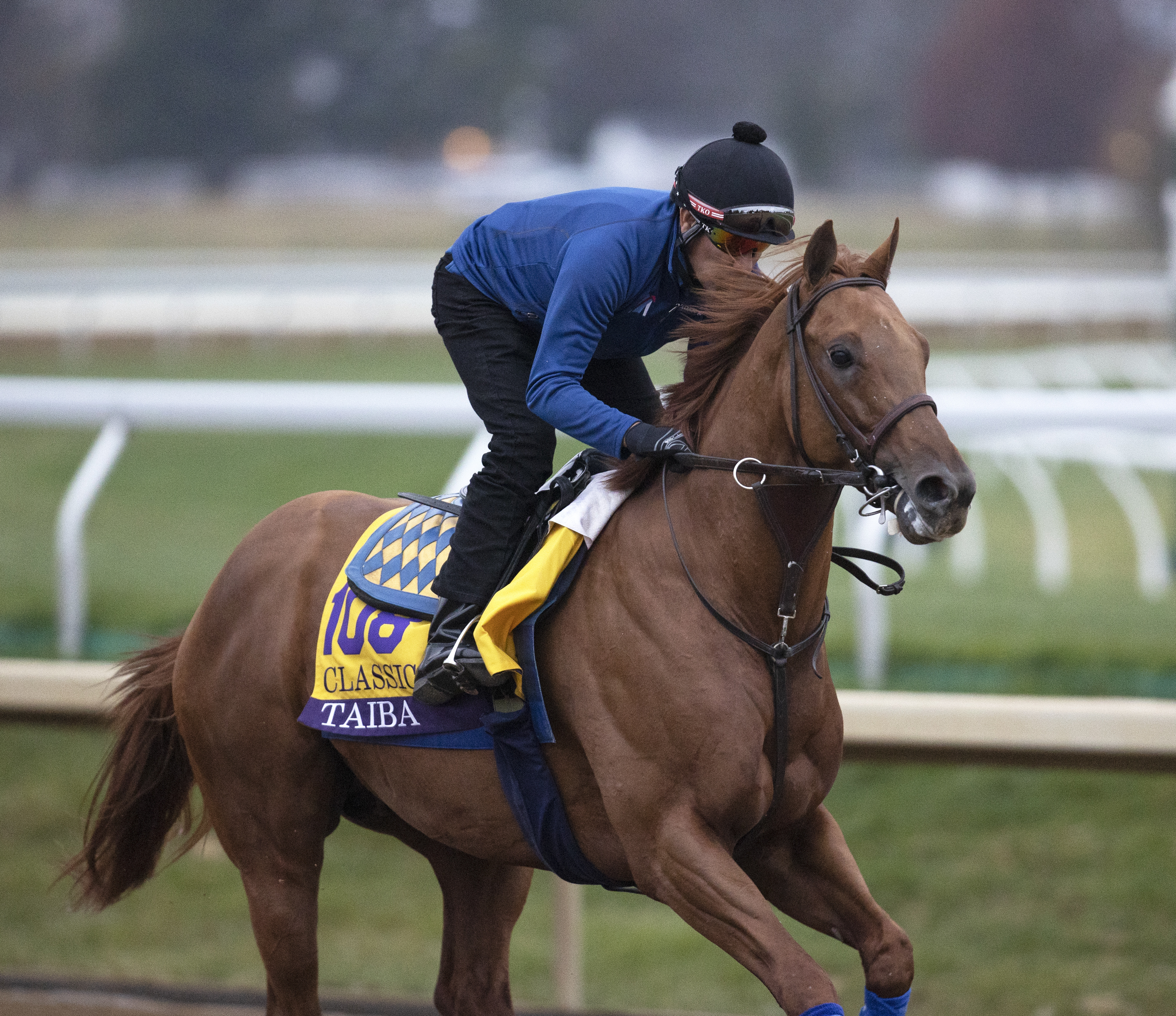 Taiba trains at Keeneland Nov 1 2022