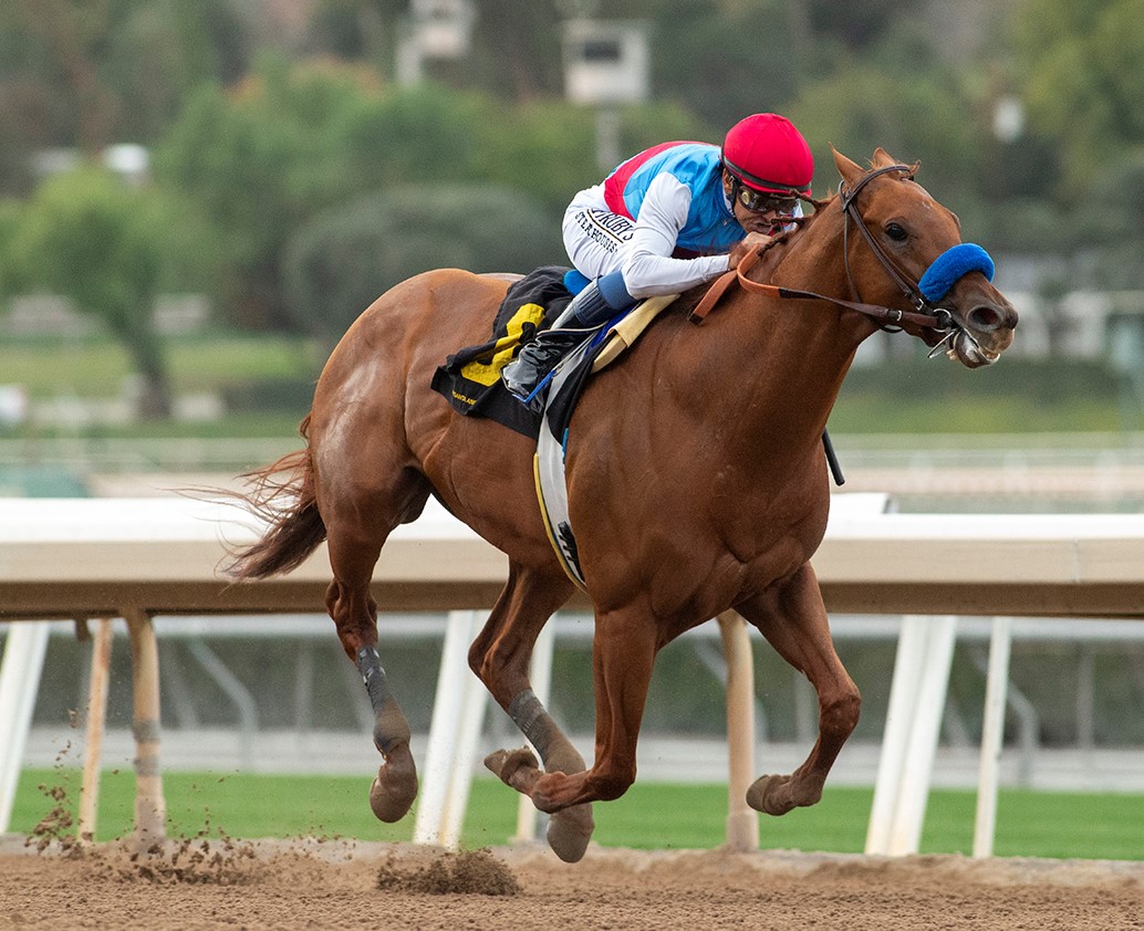 Taiba wins the Malibu at SA Dec 26 2022