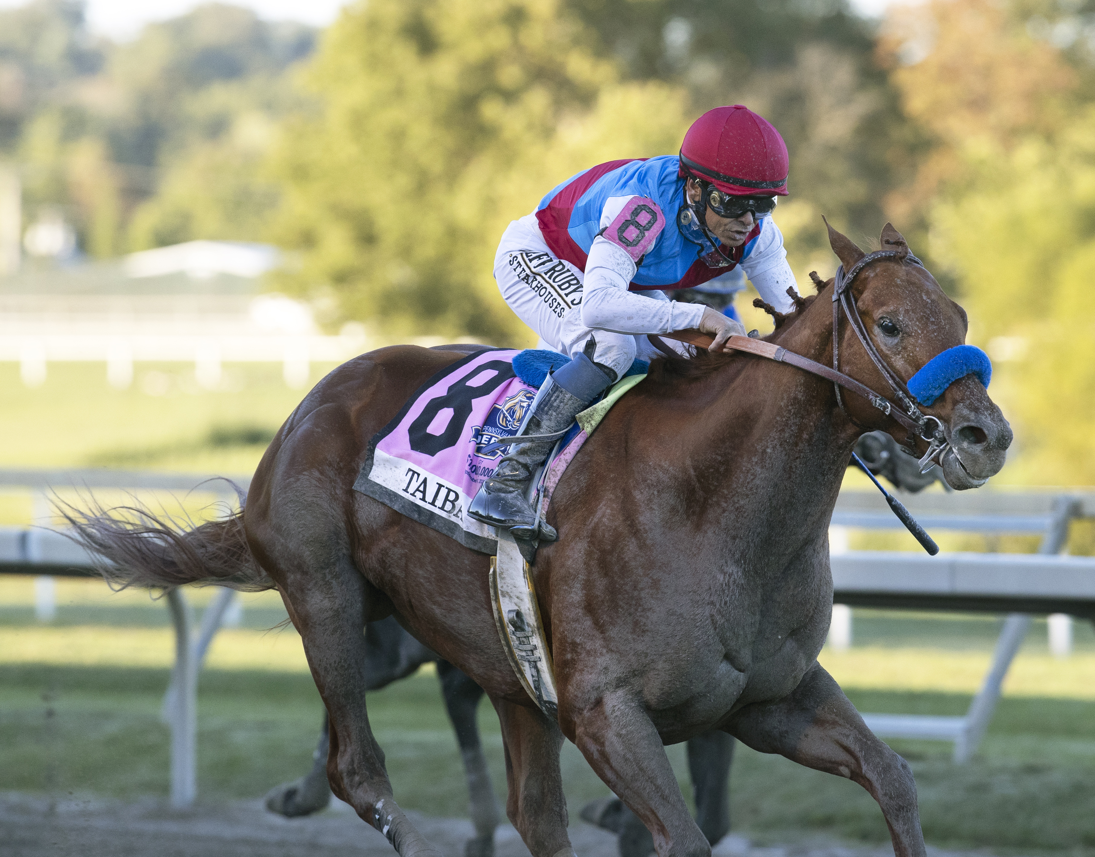 Taiba/Eclipse Awards