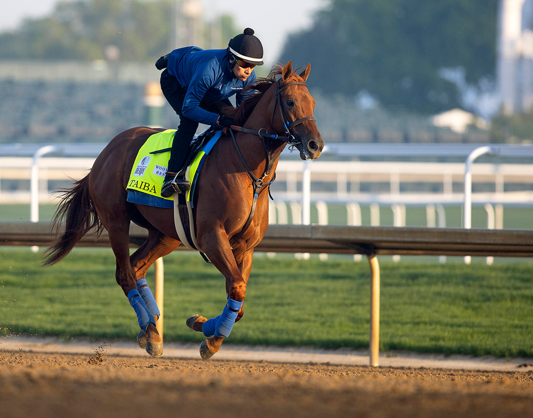Kentucky Derby betting How Churchill Downs trains new