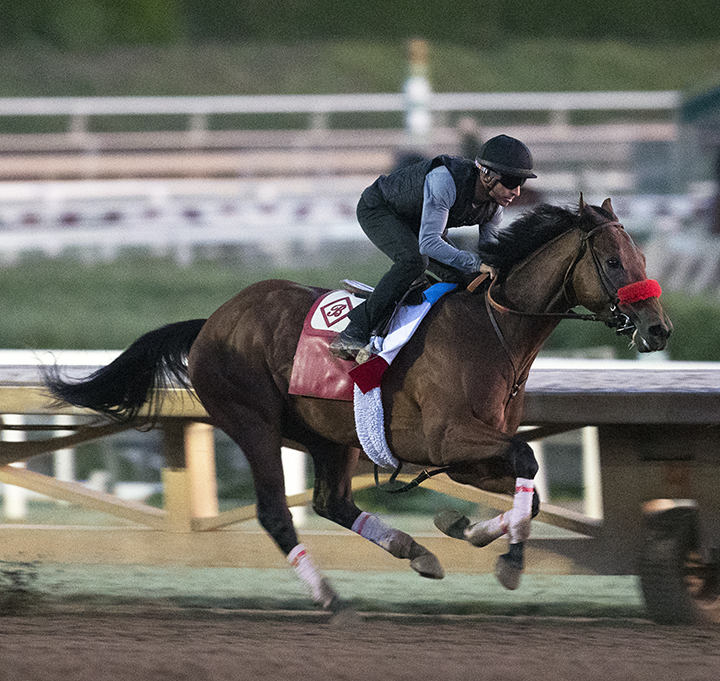 Taishan trains at Santa Anita Park in October 2019