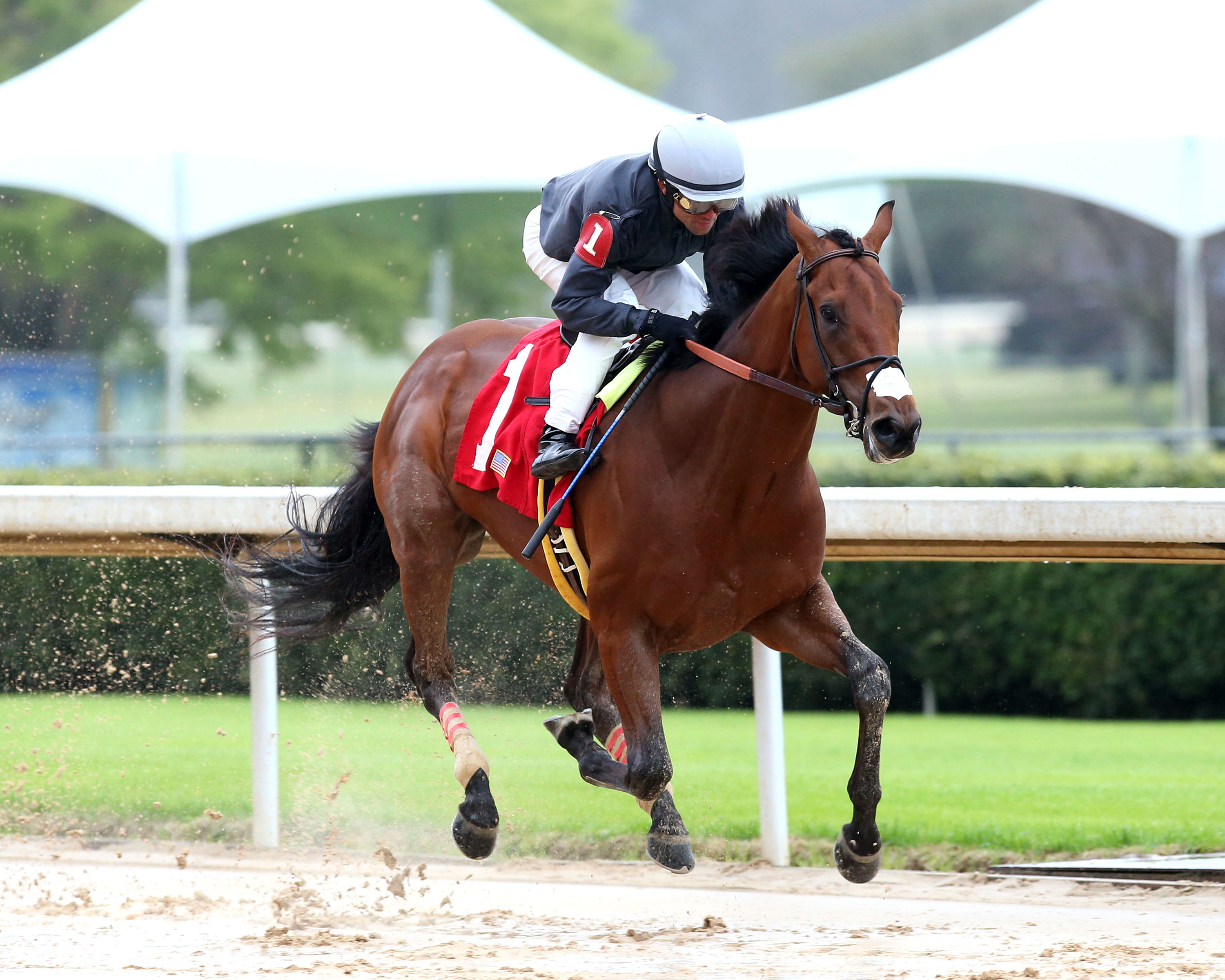 Taishan wins a March 14 allowance at Oaklawn Park
