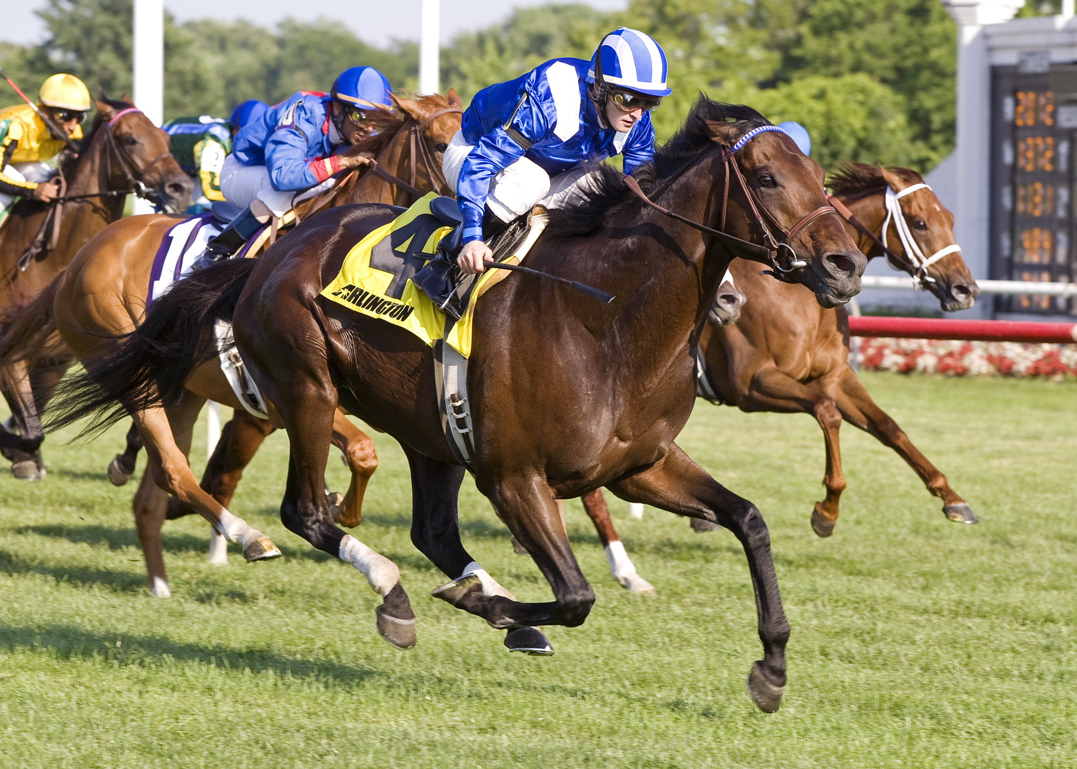 Tajaaweed/Arlington Handicap