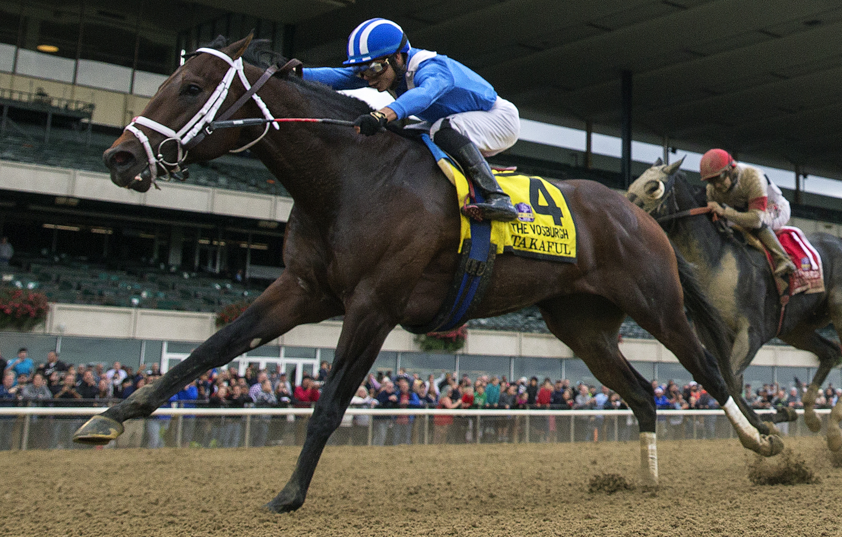 Takaful wins the 2017 Vosburgh Stakes