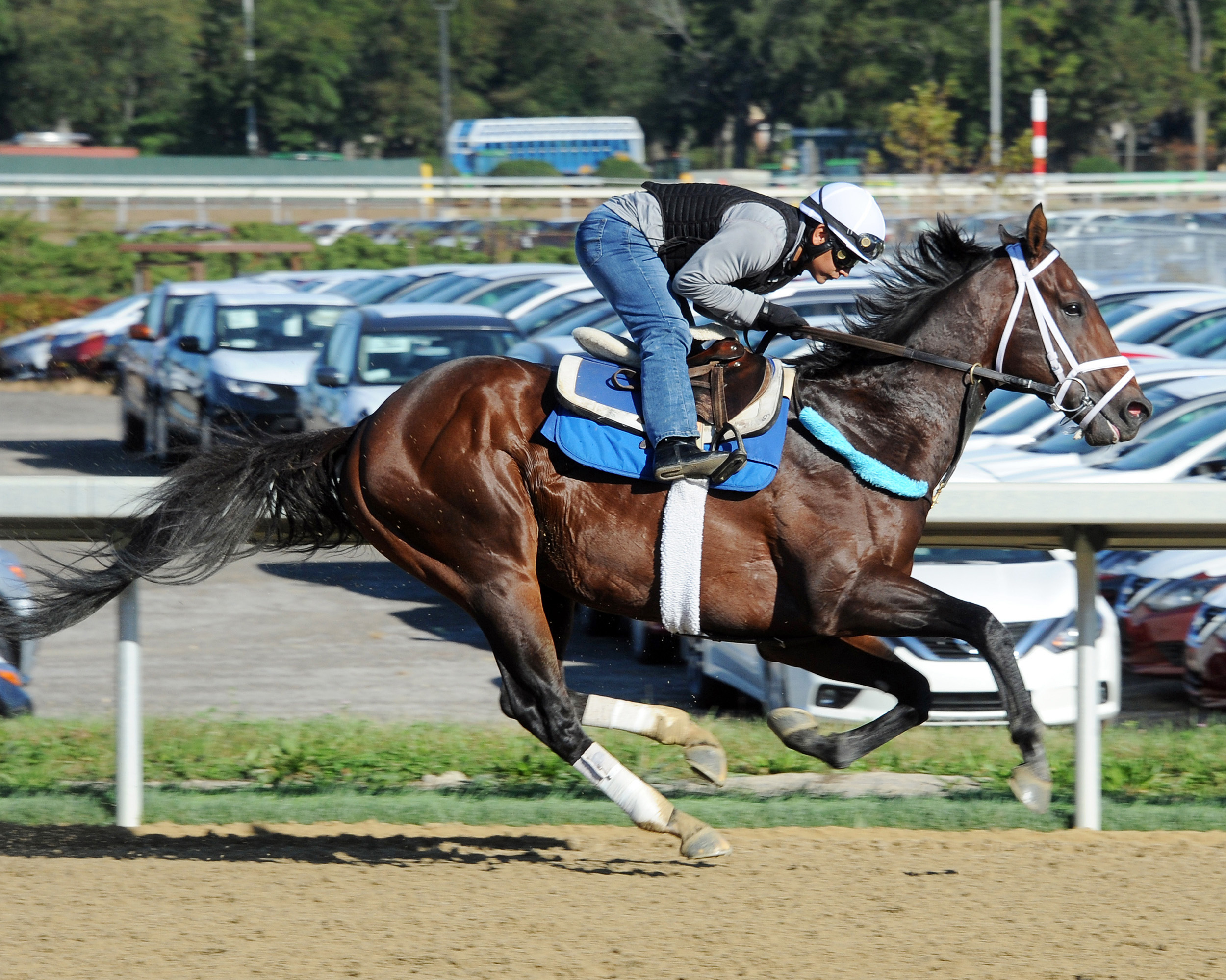 Takaful trains at Belmont on Oct. 19