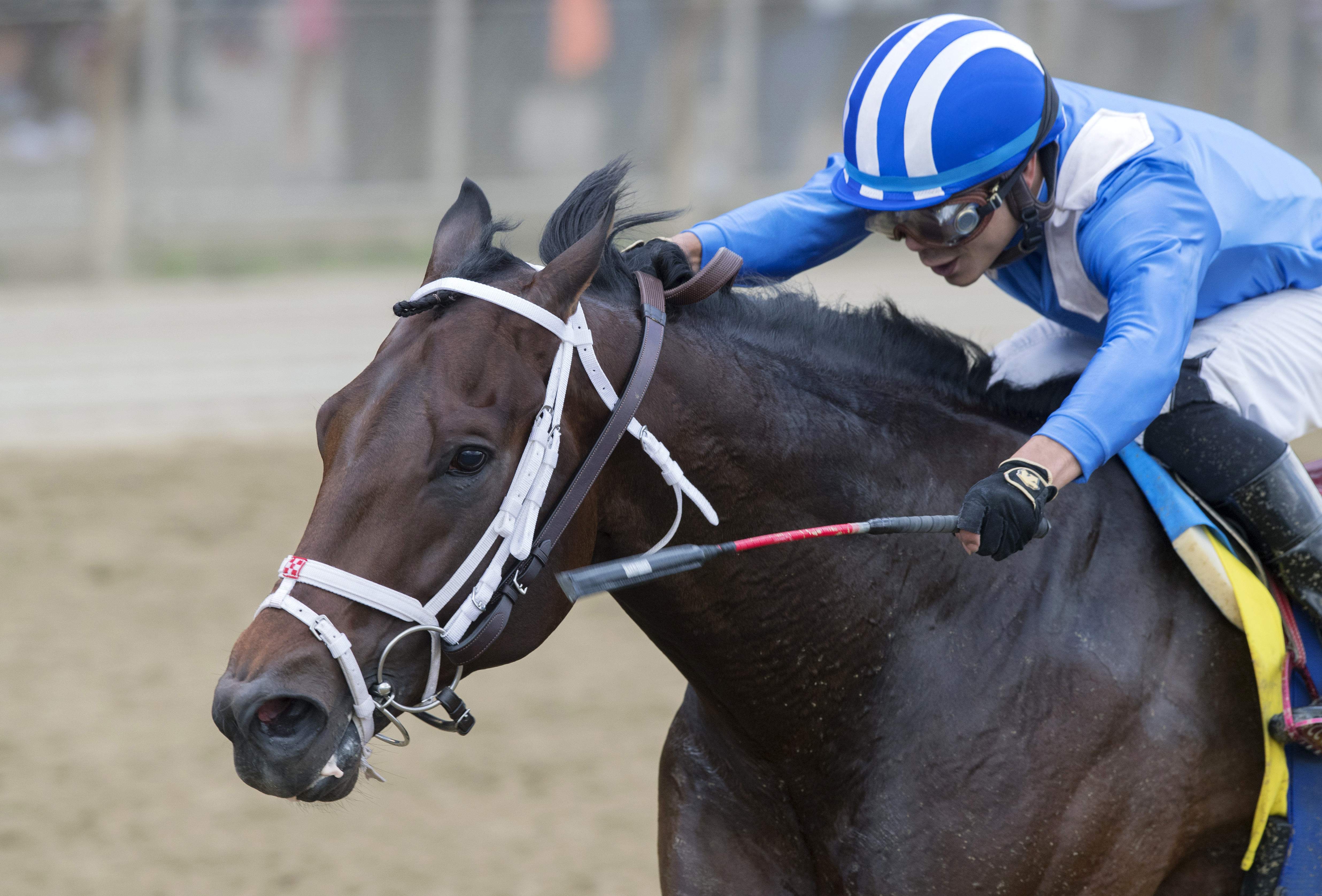 Takaful wins the Vosburgh