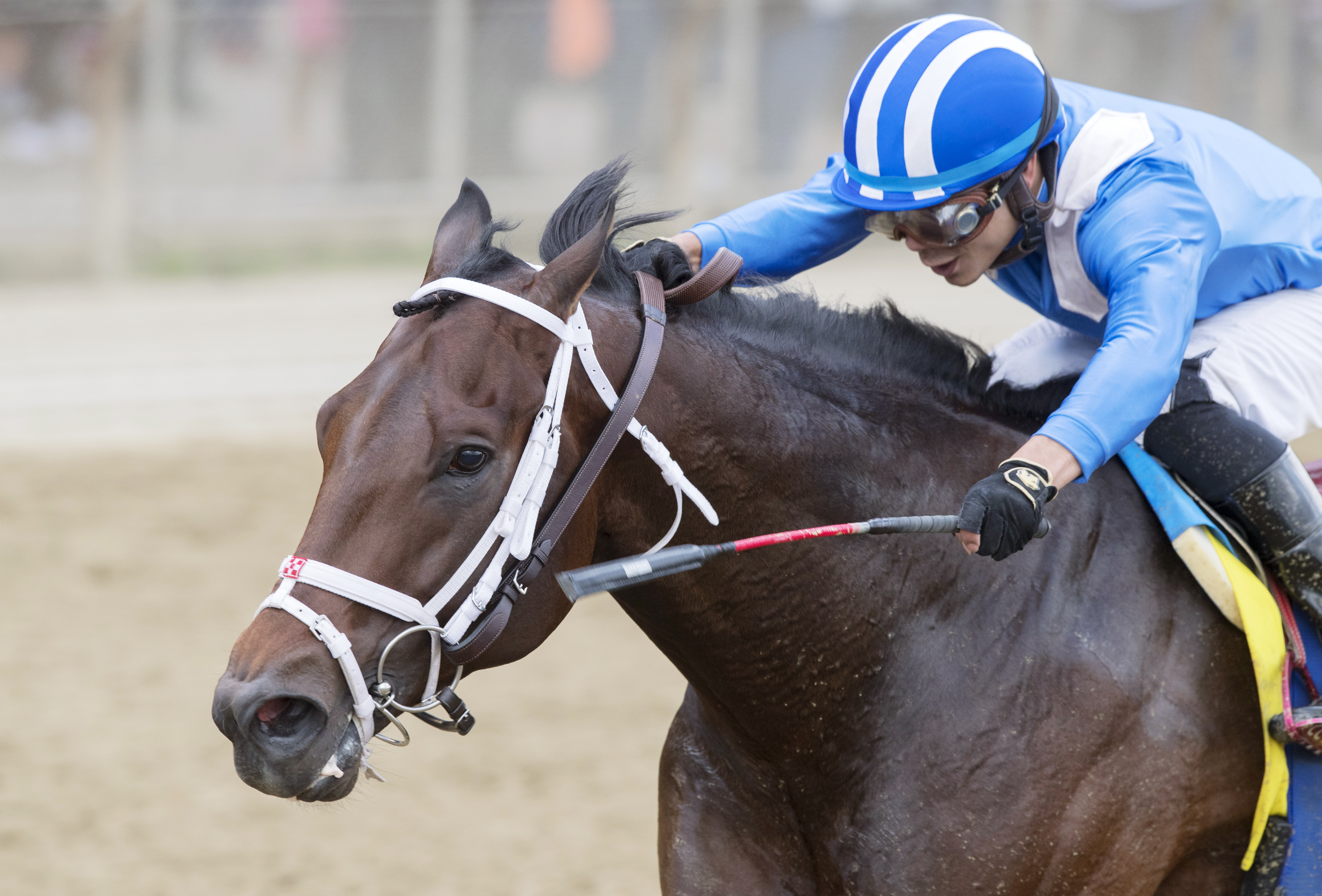 Takaful wins the Vosburgh