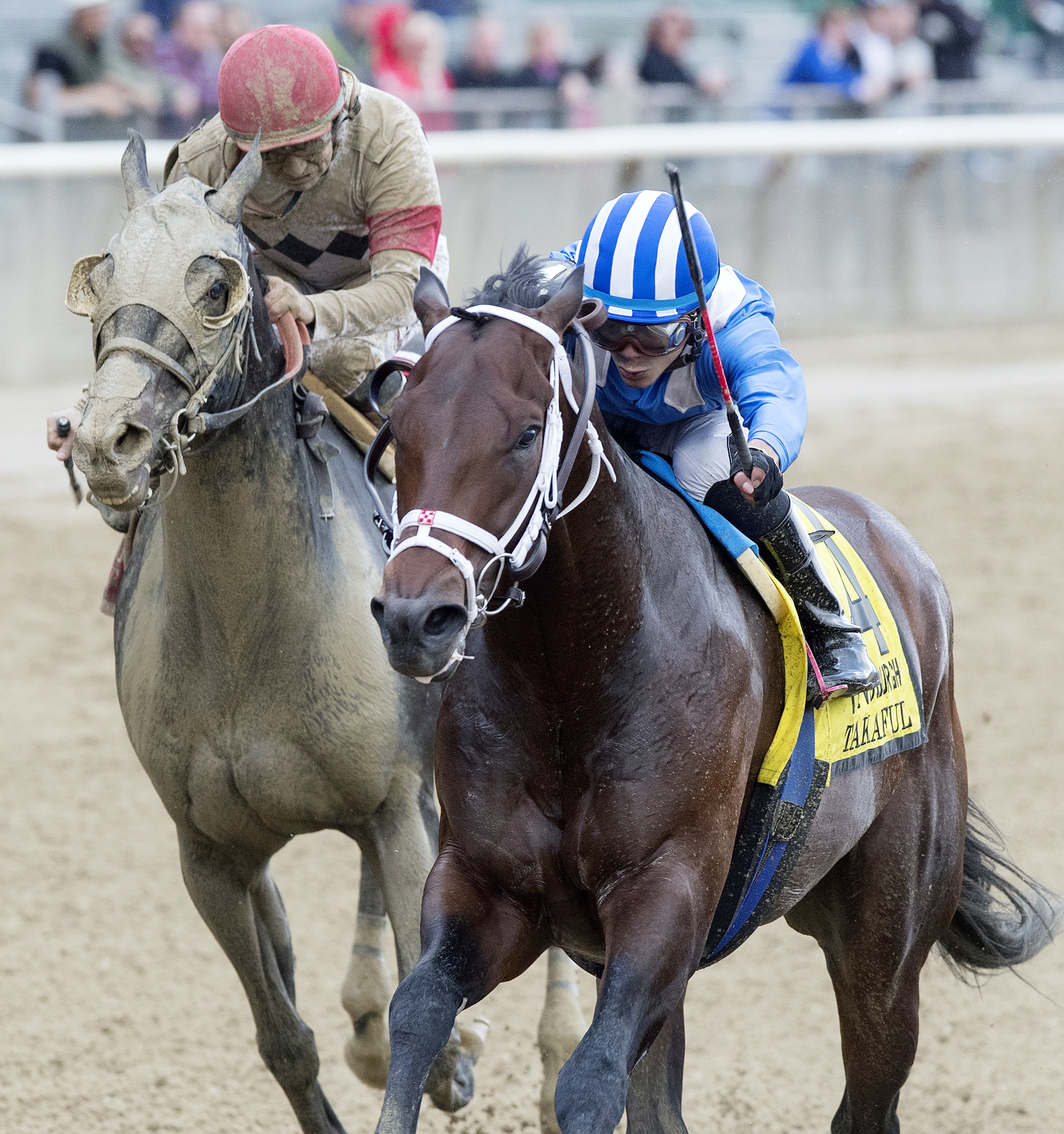 Takaful wins the 2017 Vosburgh