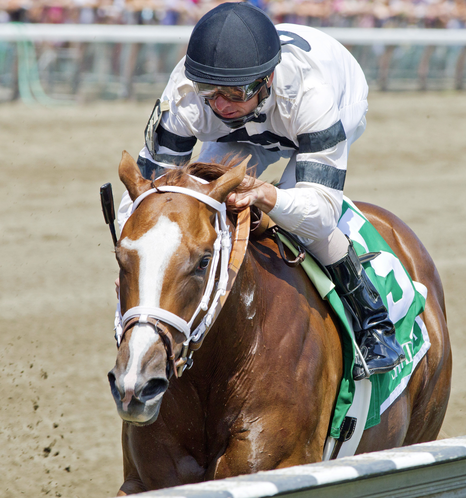 Take Charge Brandi finishes second in the Schuylerville