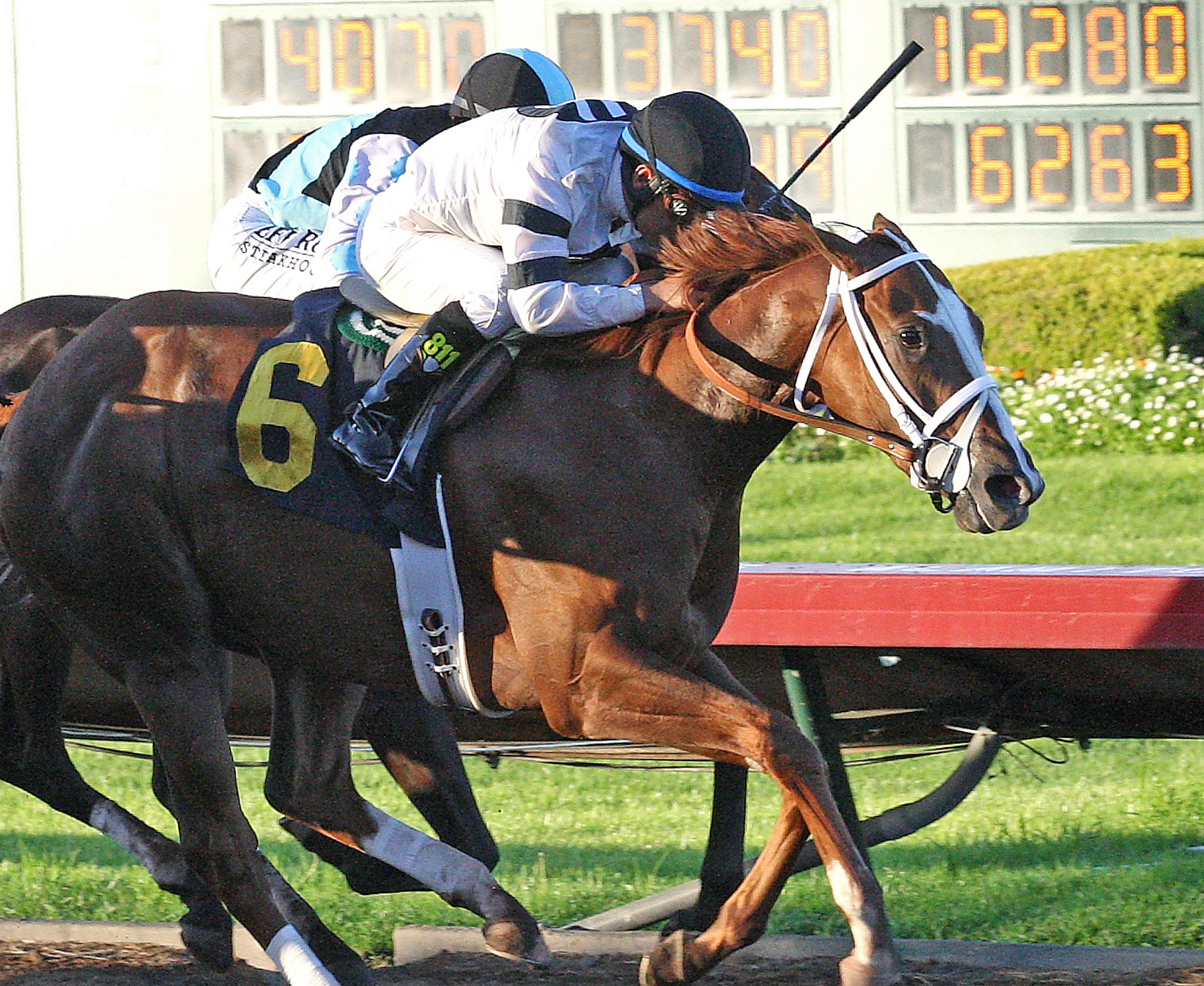 Take Charge Brandi wins the Starlet Stakes