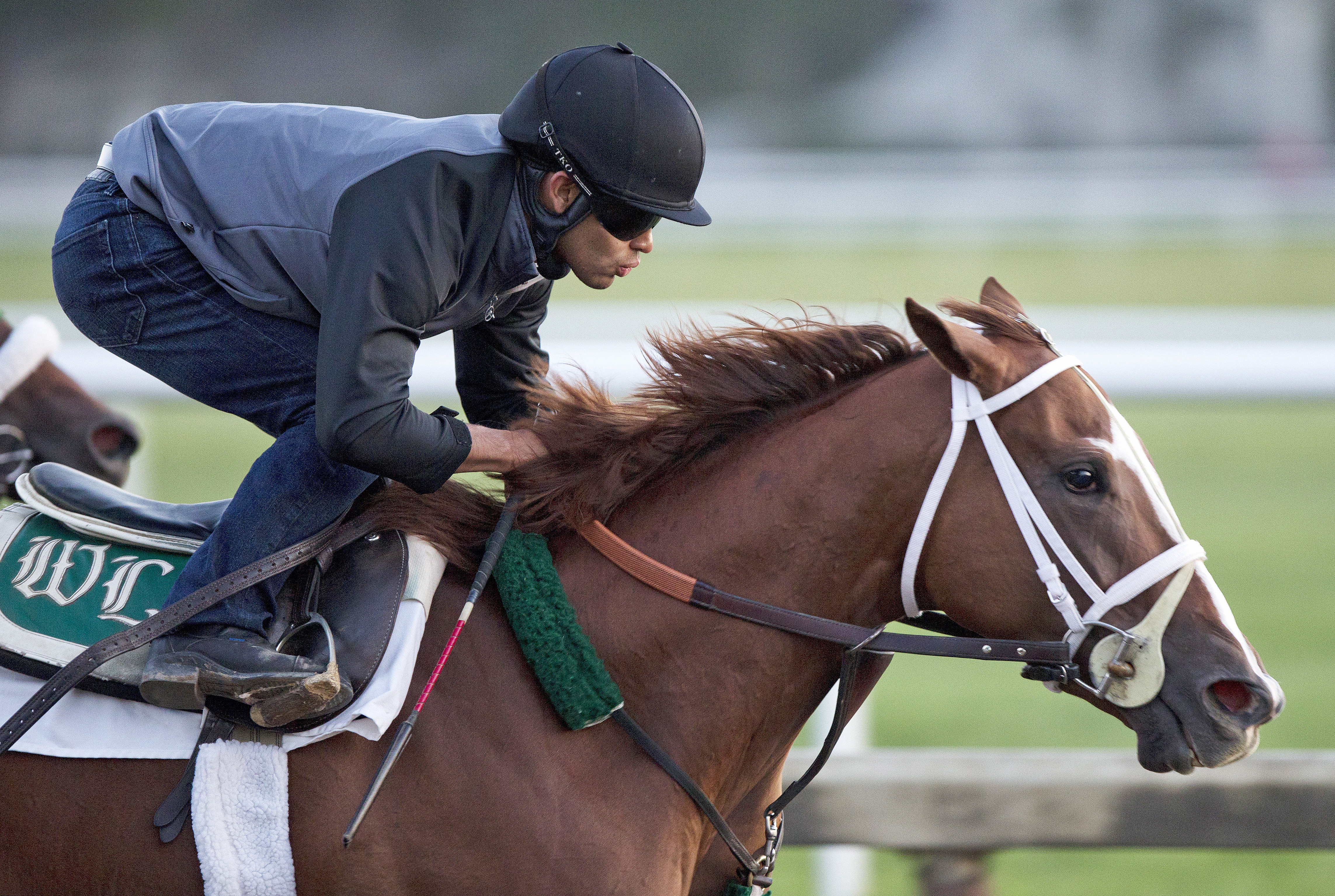 Take Charge Brandi training at Saratoga on July 23