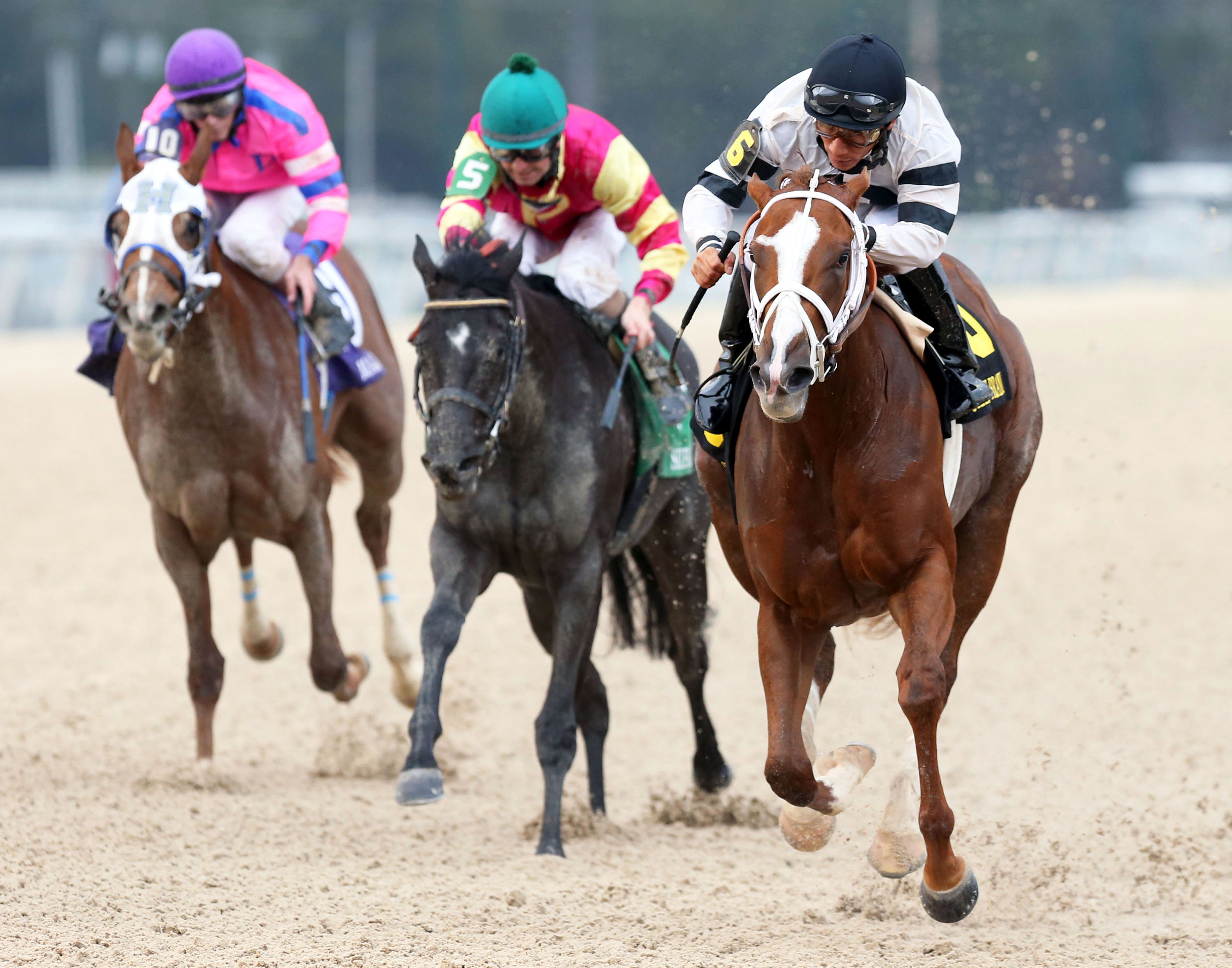 Take Charge Brandi wins the Delta Down Princess