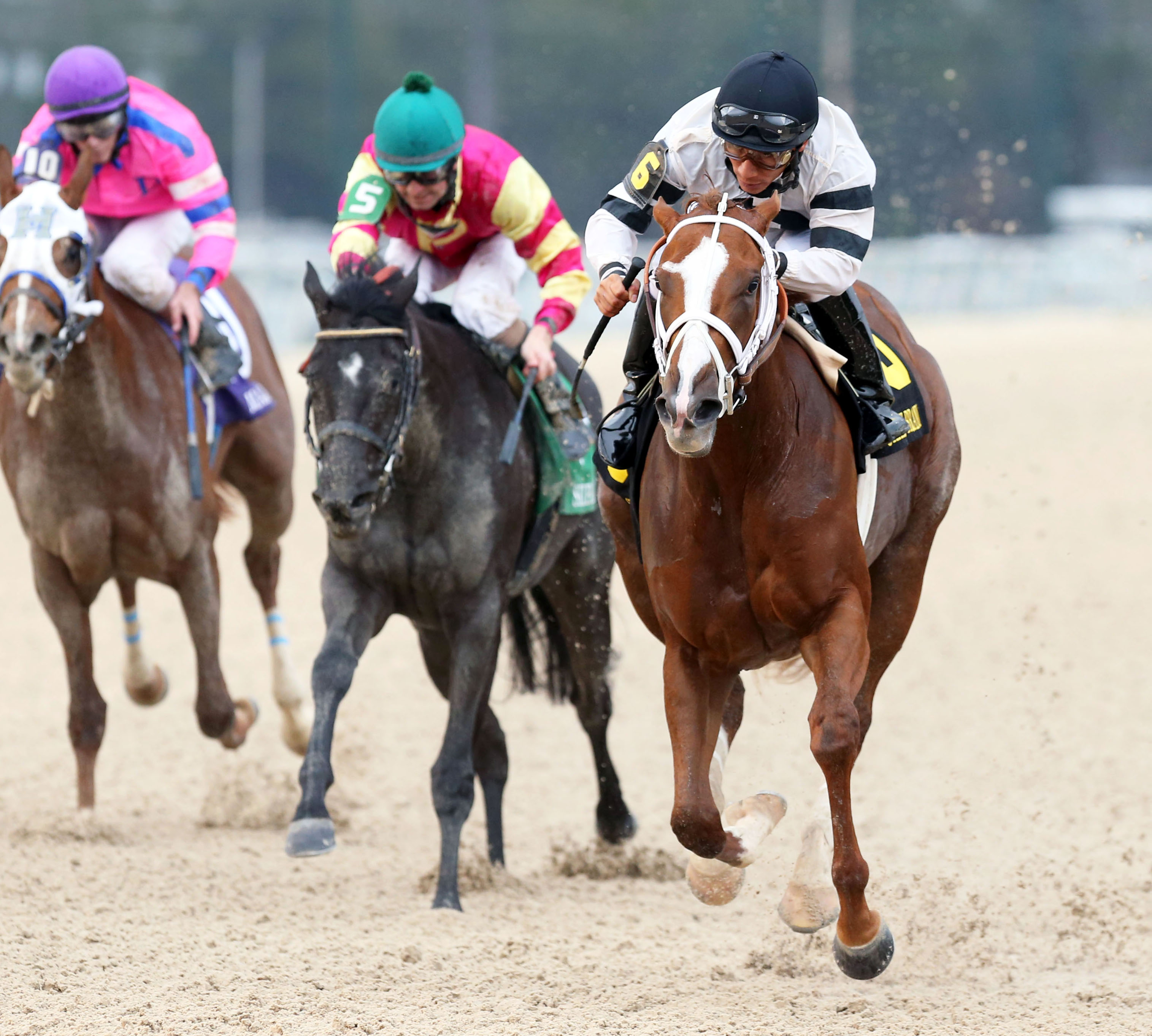 Take Charge Brandi wins the Delta Down Princess