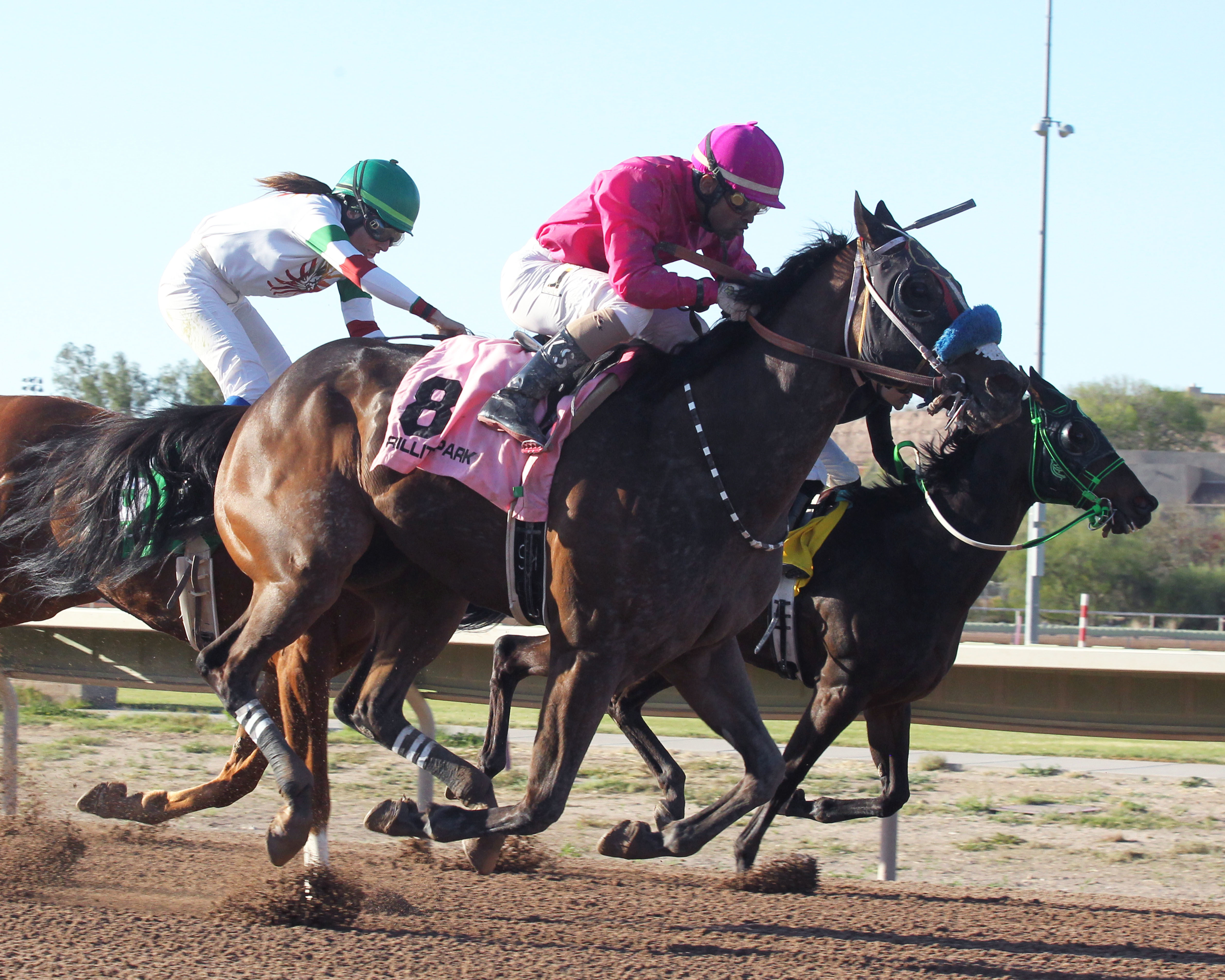 Take Charge Deputy wins the Pima County Classic at Rillito on April 3 2022