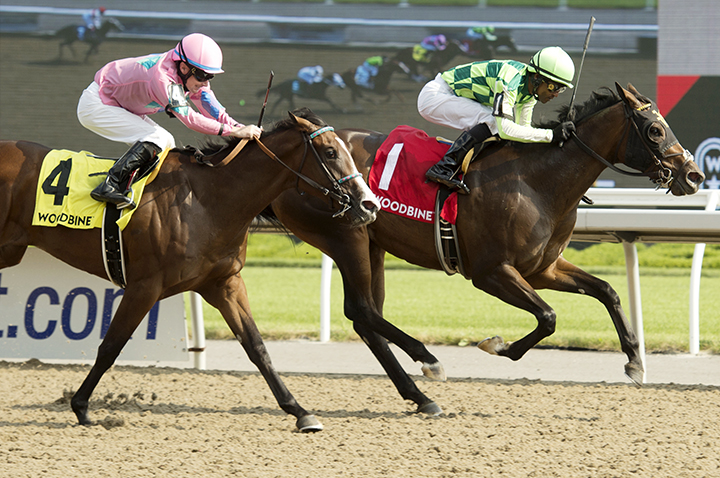 Take Charge Eh (No. 4) finishes second in the Shady Well Stakes at Woodbine