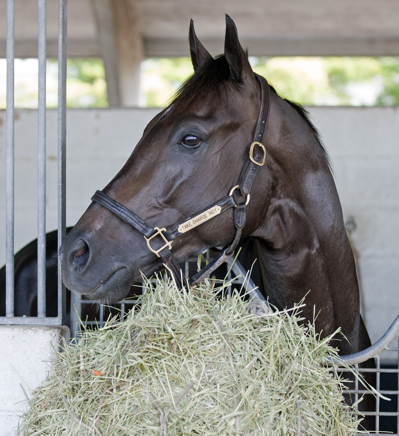 Take Charge Indy/marquee