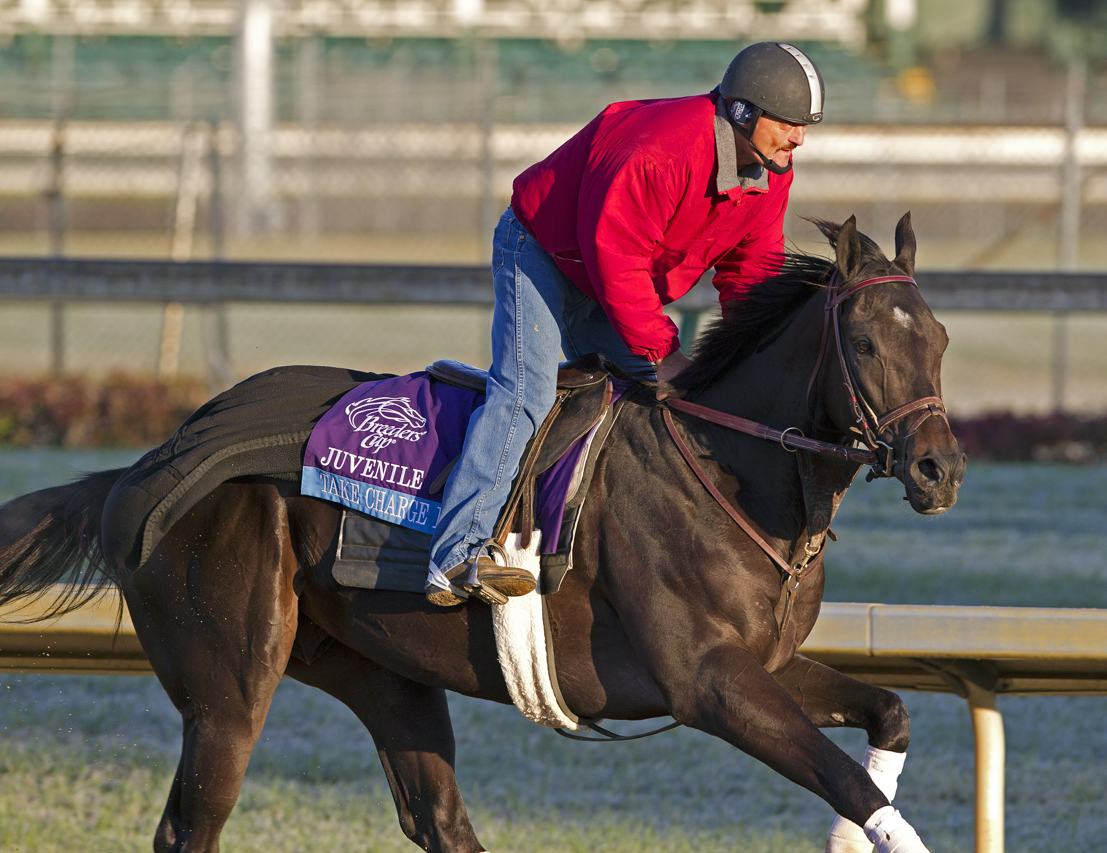 Take Charge Indy