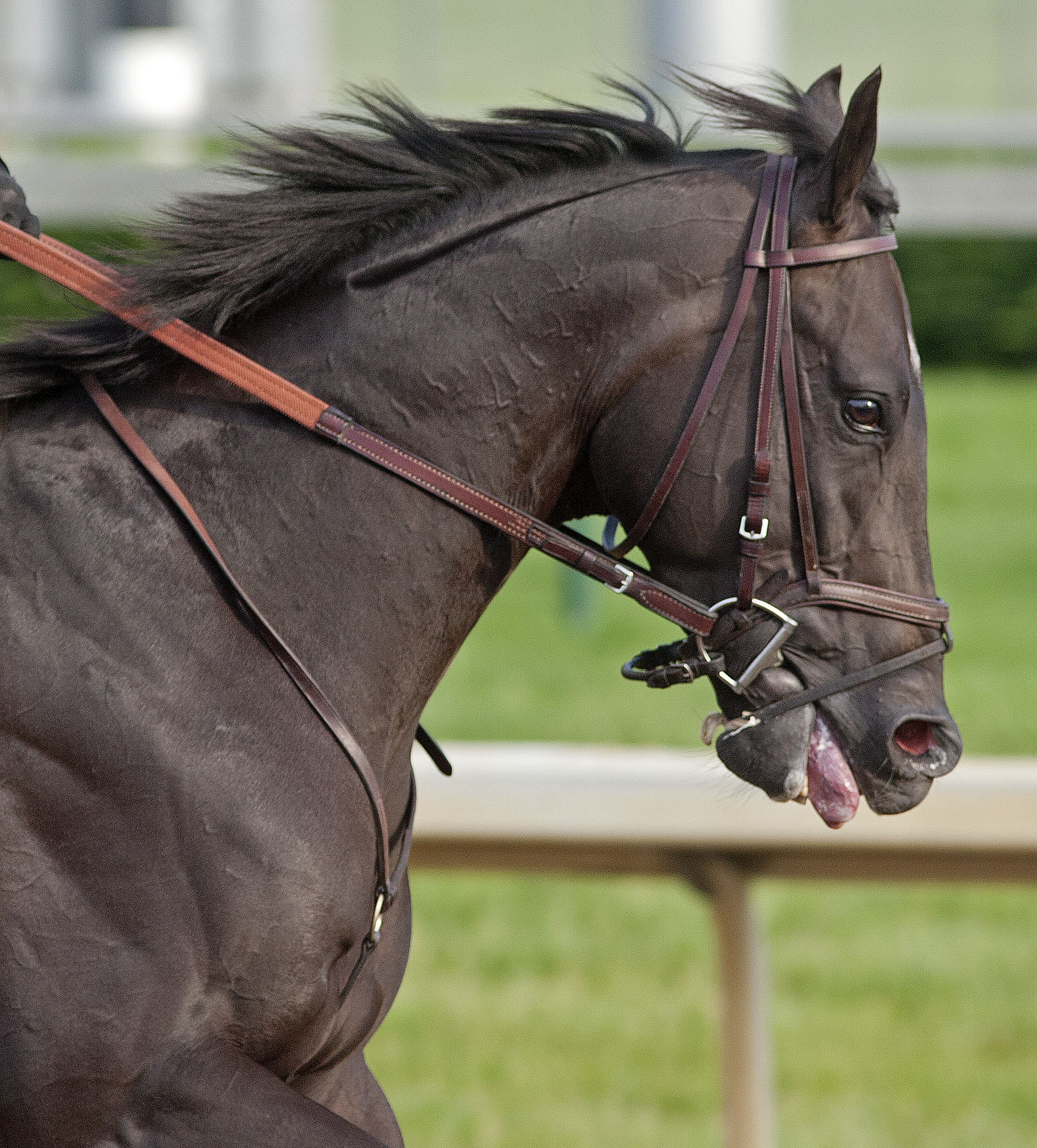 Take Chage Indy