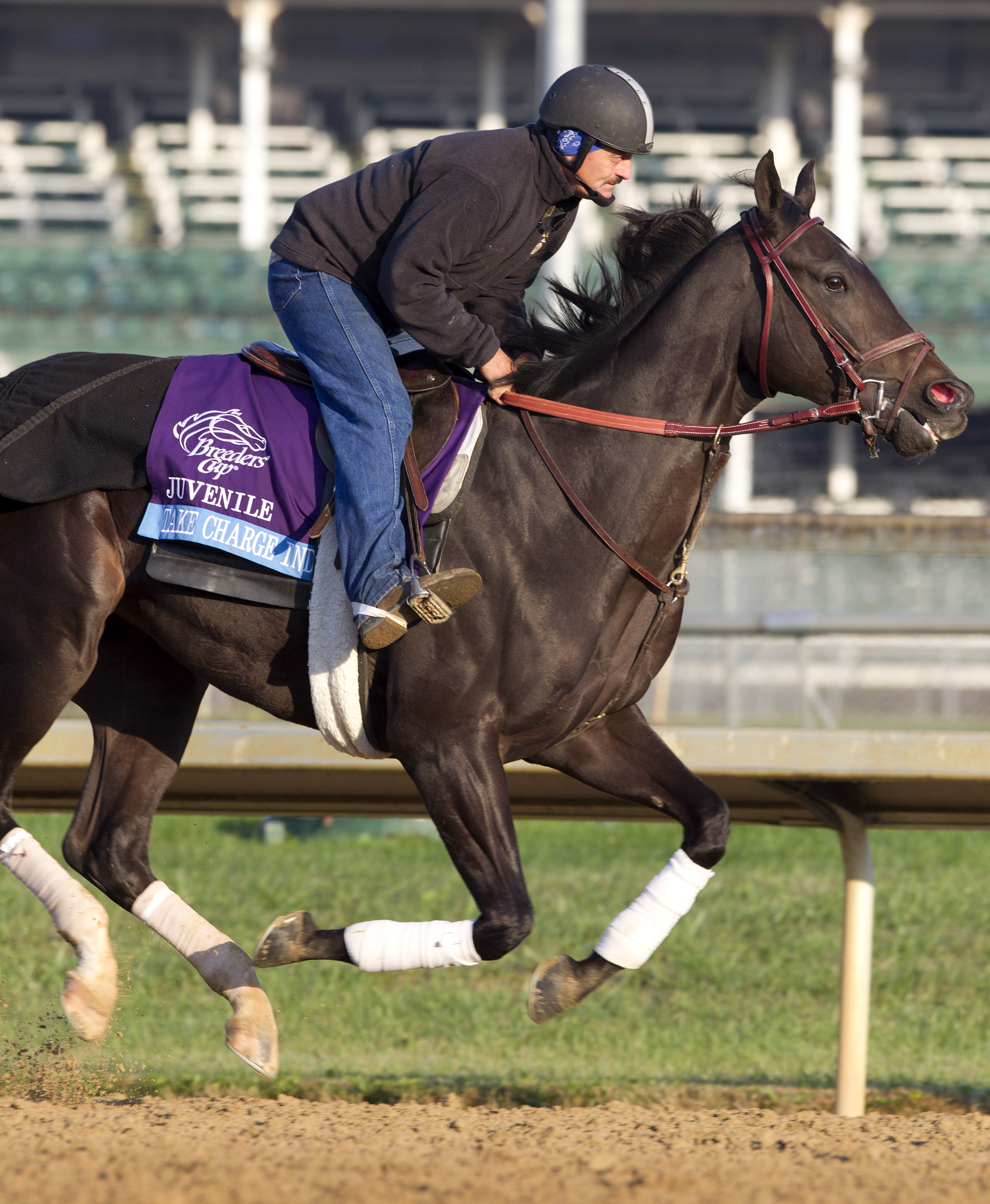 Take Charge Indy
