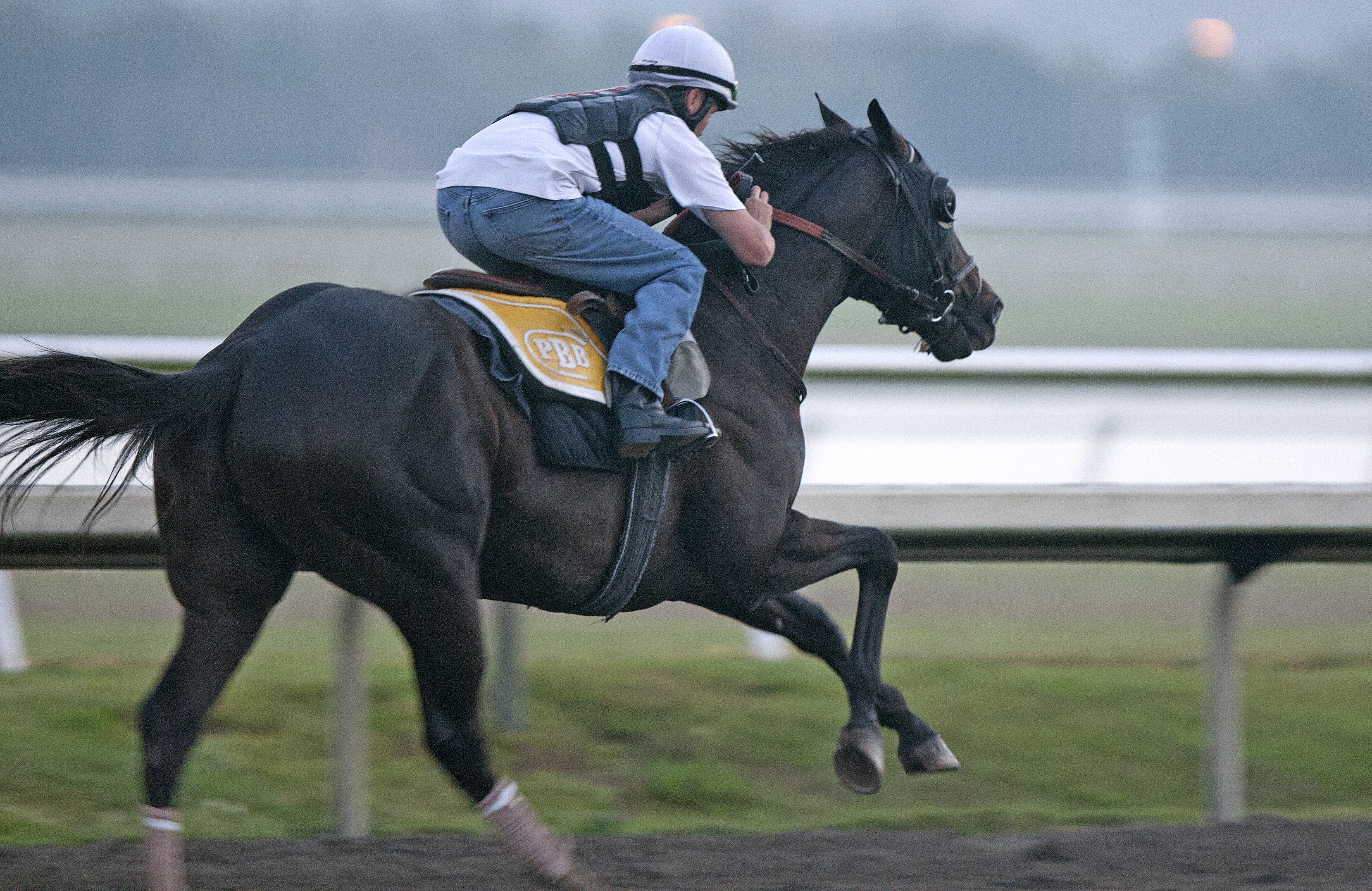 Take Charge Indy
