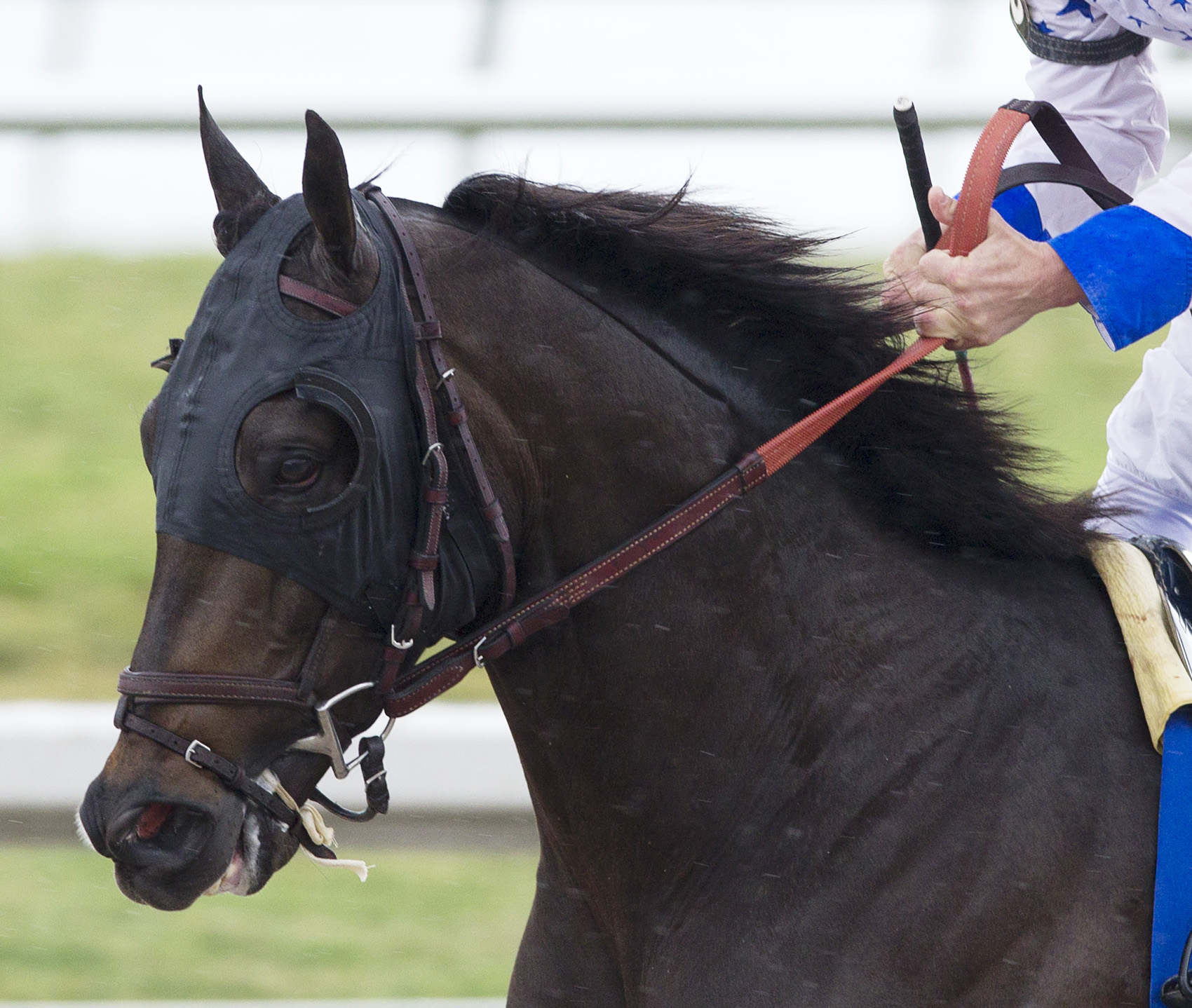Take Charge Indy
