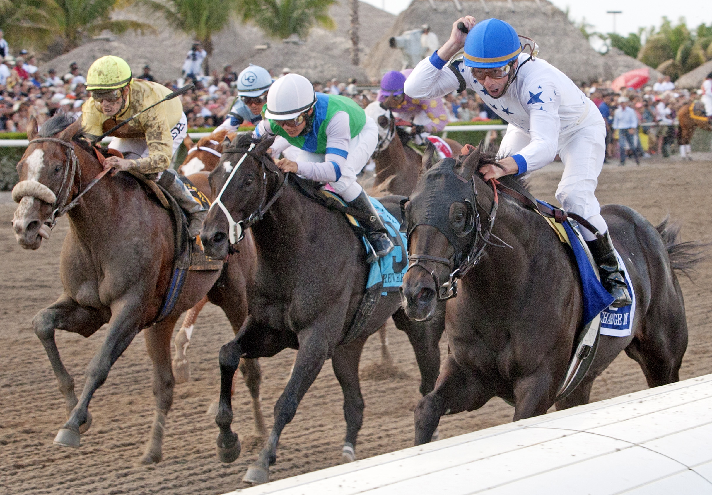 Take Charge Indy/Florida Derby