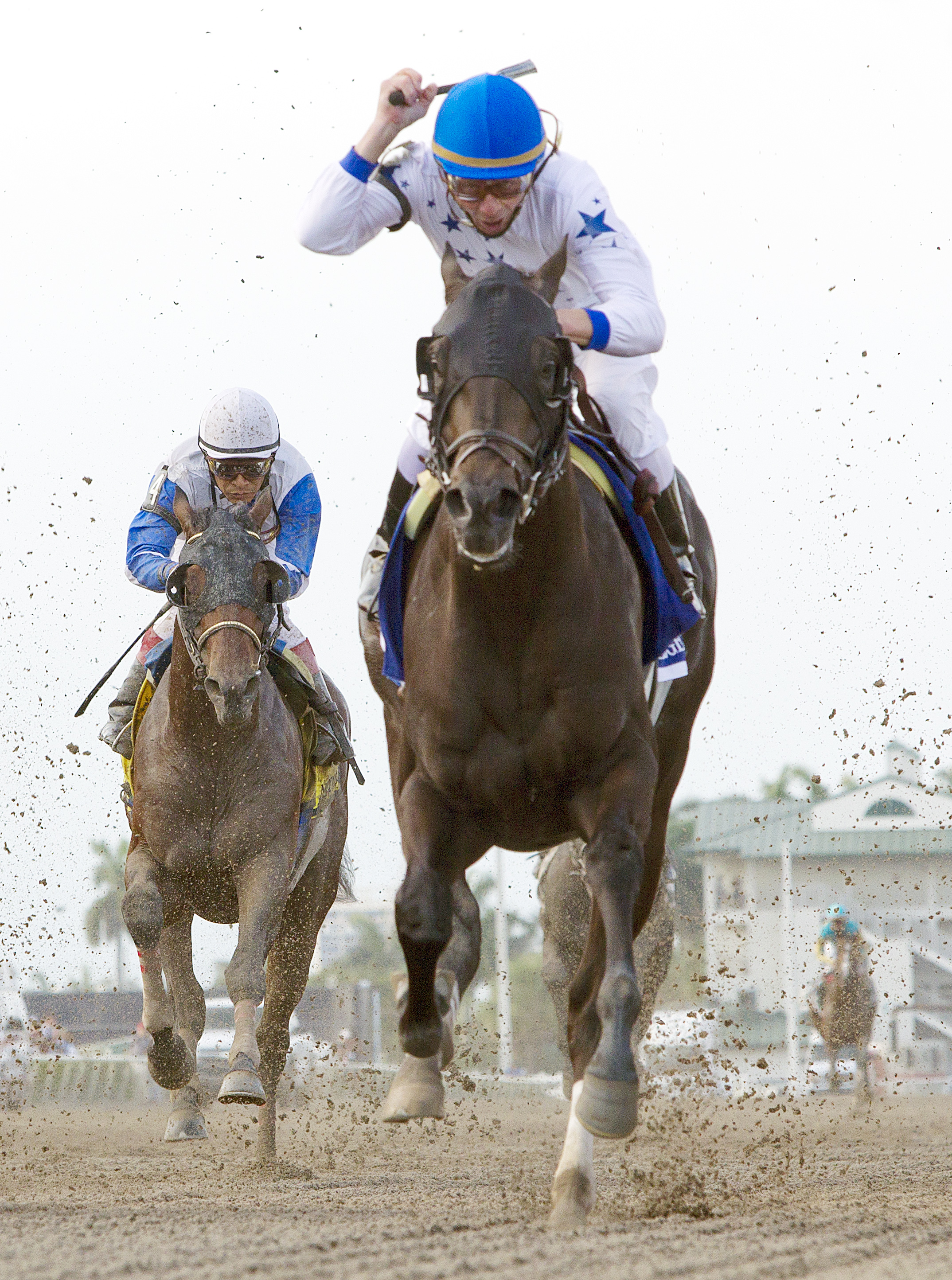 Take Charge Indy/Florida Derby