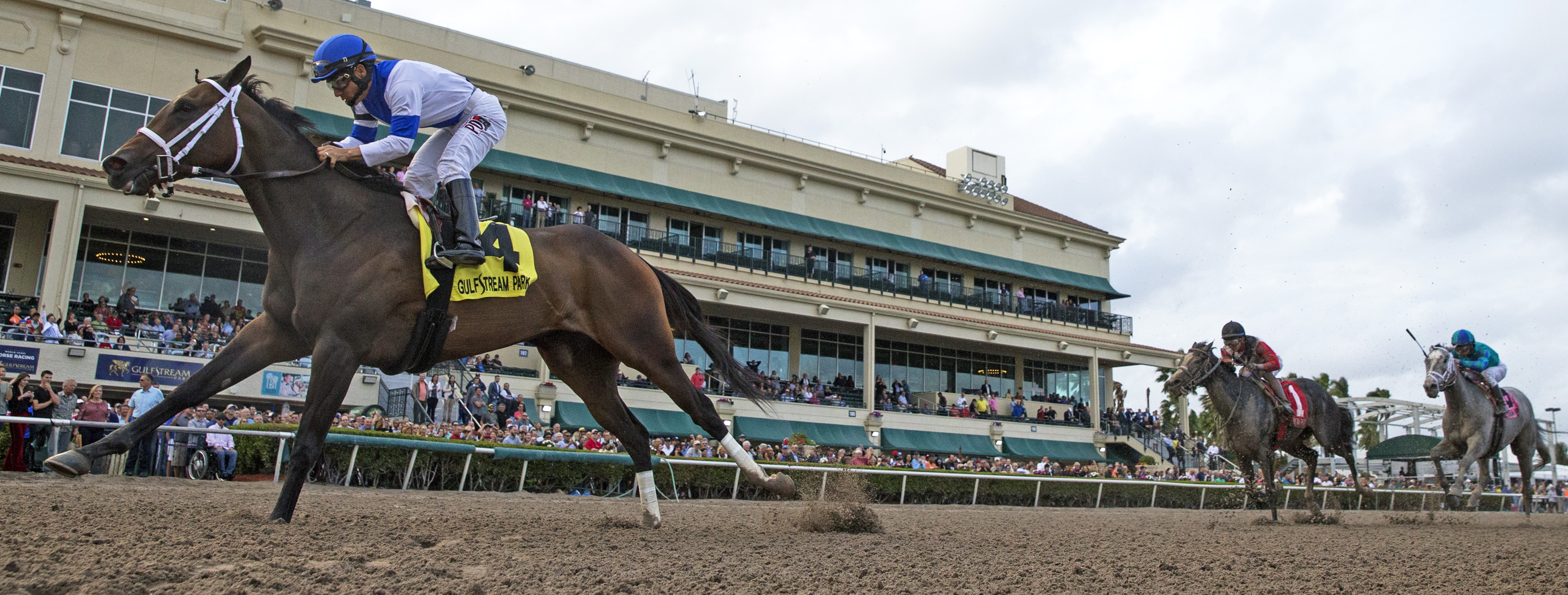 Take Charge Paula wins 2018 Forward Gal