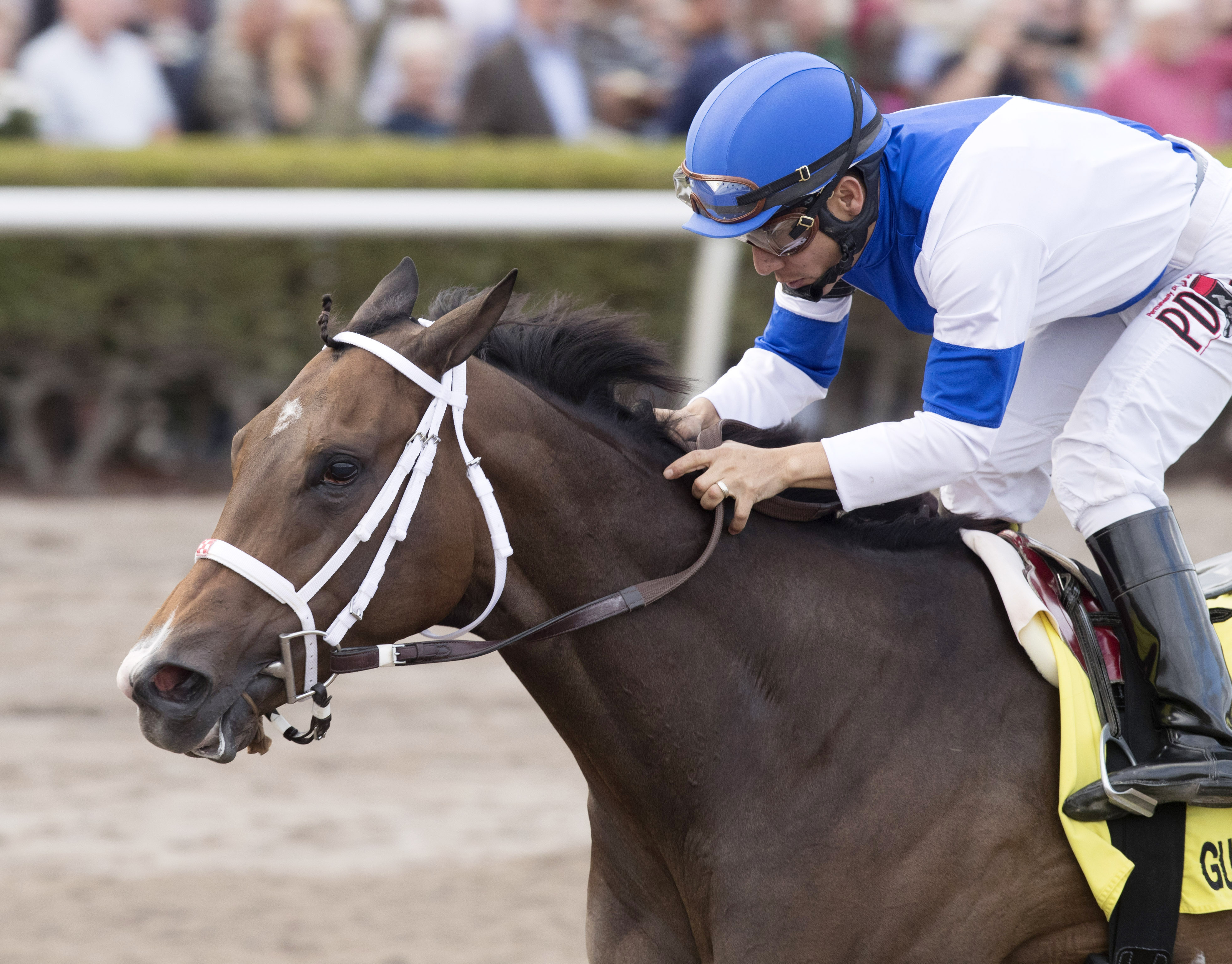 Take Charge Paula wins the Forward Gal Stakes
