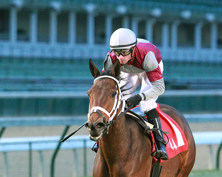Take These Chains wins a Nov. 11 allowance