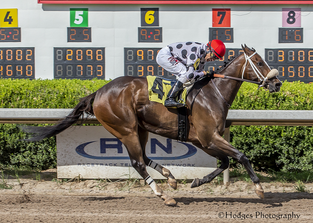 Takes Two to Tango wins Louisiana Cup Sprint 8-6-2022