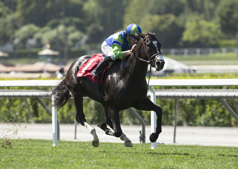Take the One O One wins the 2018 Snow Chief Stakes