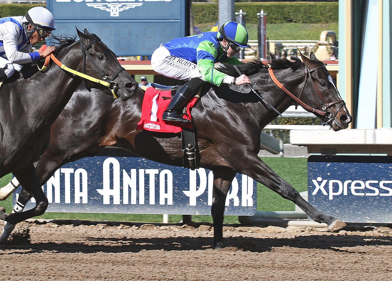 Take the One O One wins a March 4 allowance
