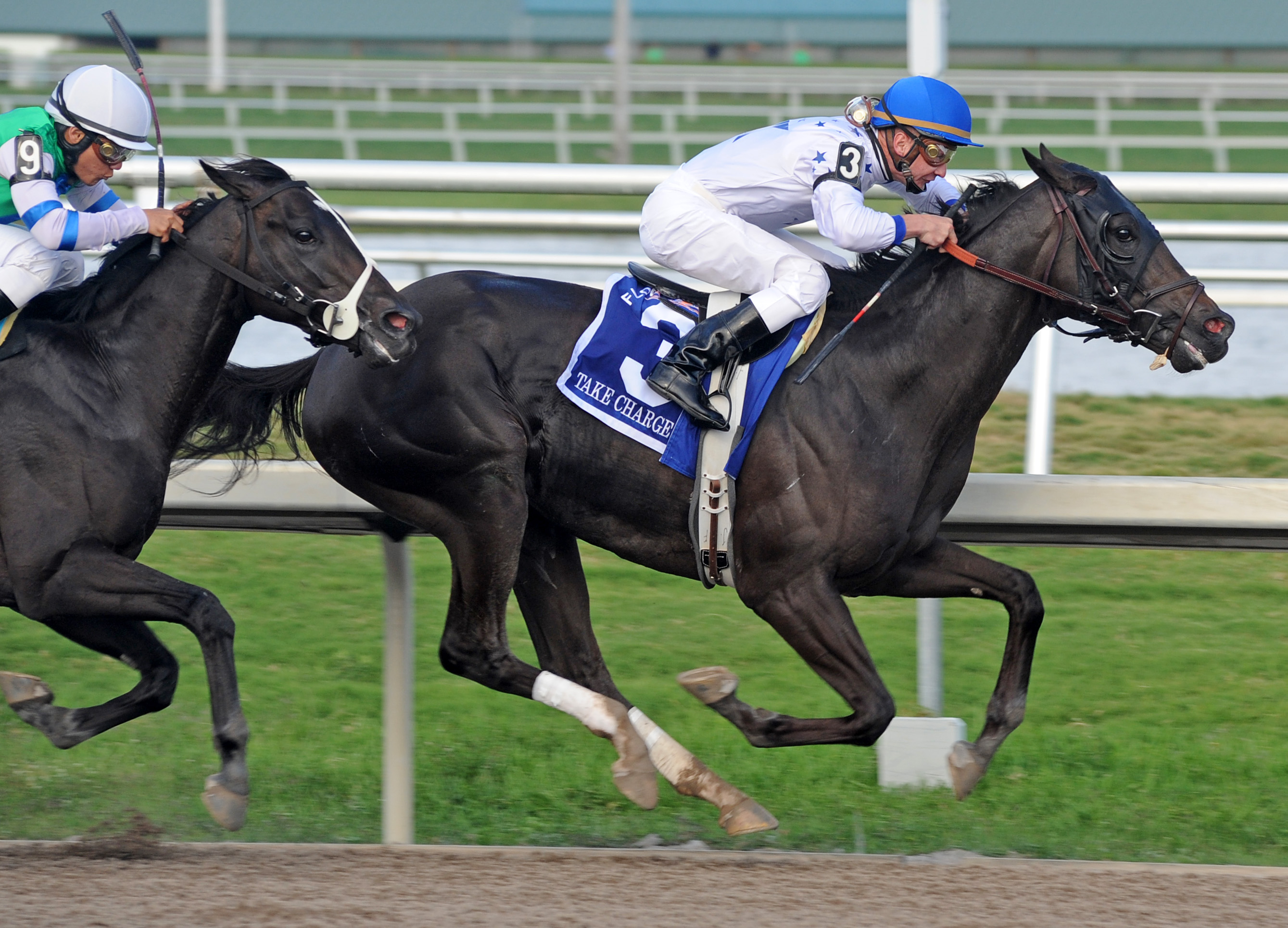 Take Charge Indy/Florida Derby