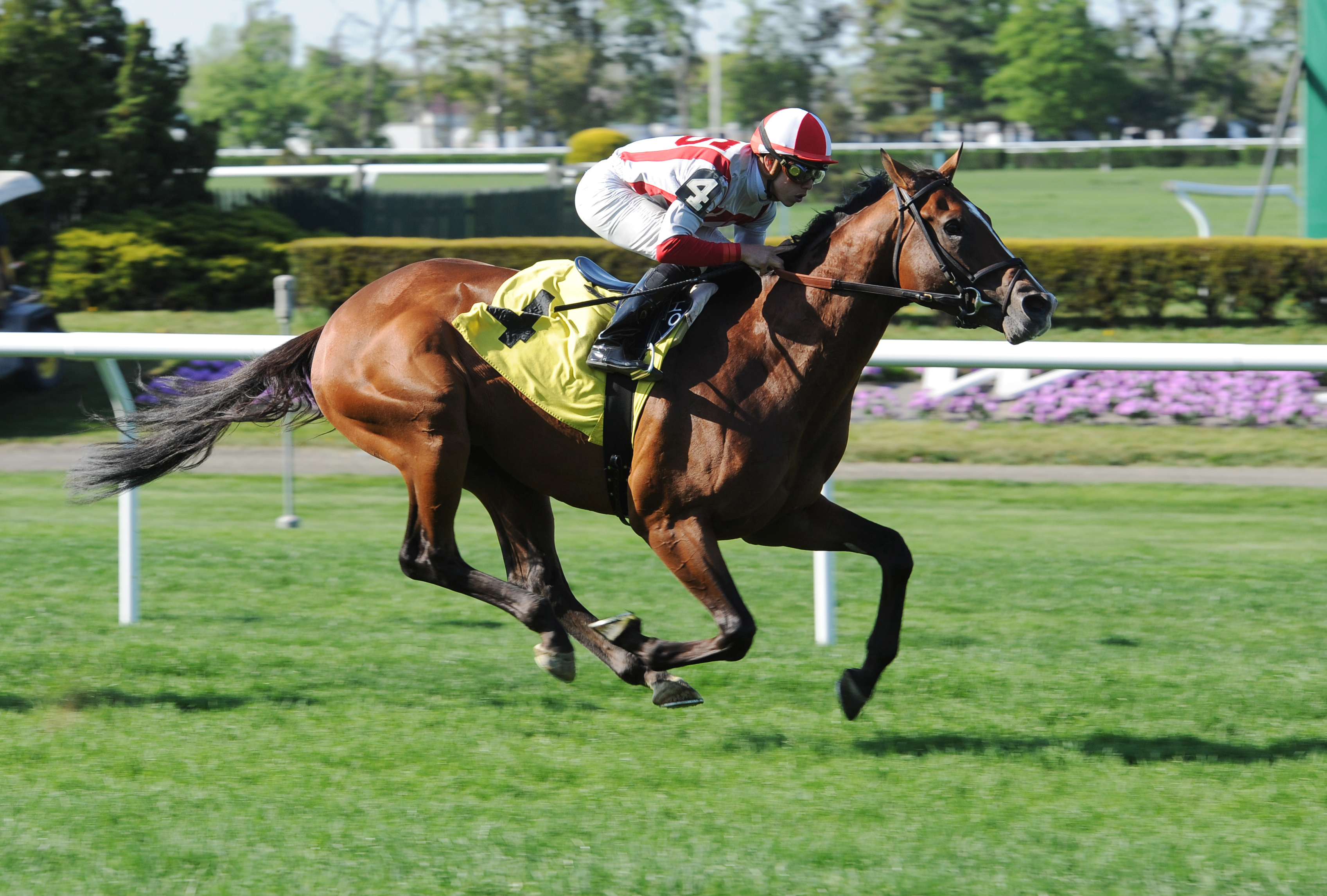 Takeover Target wins an allowance race