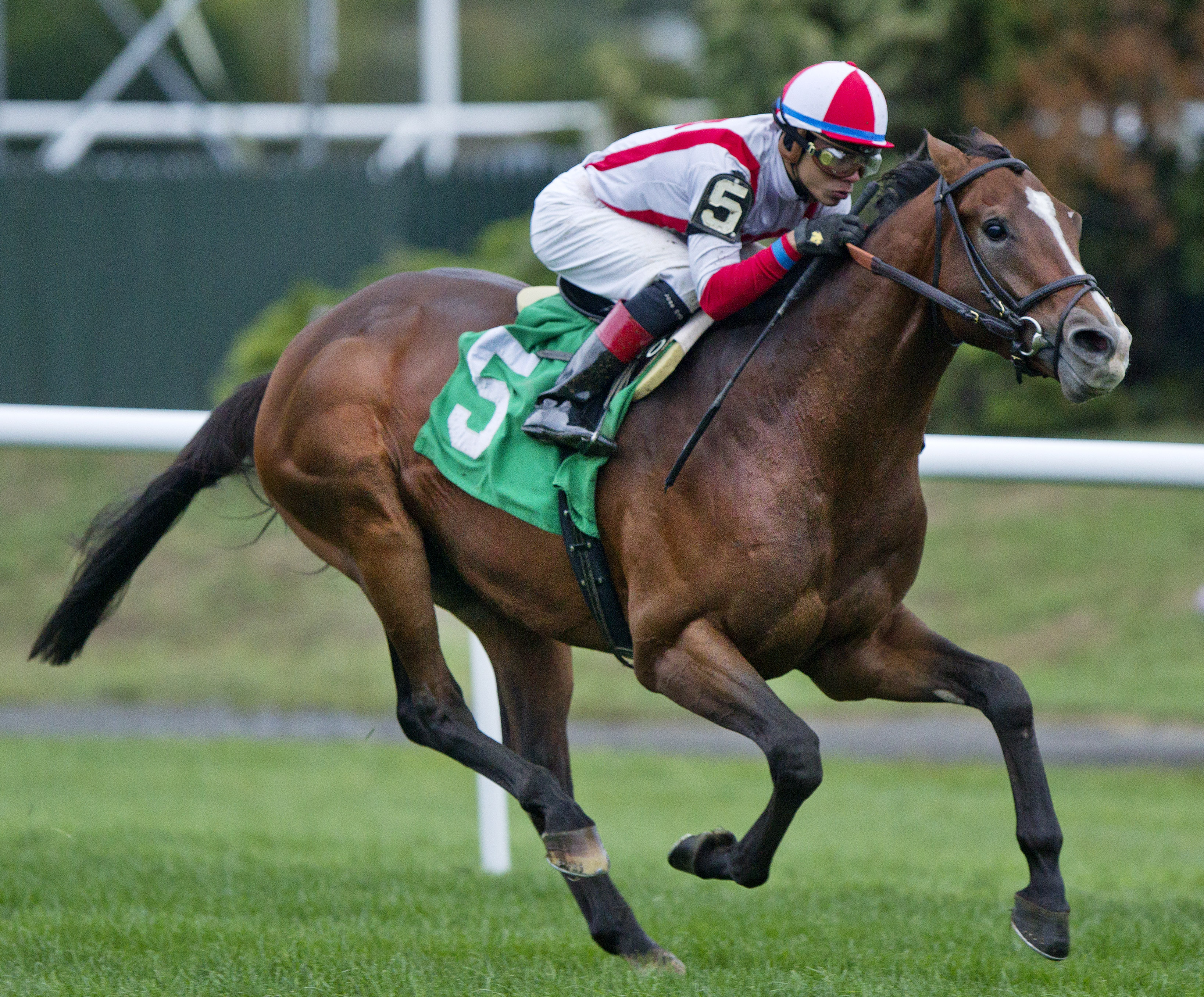 Takeover Target 10-3-2015