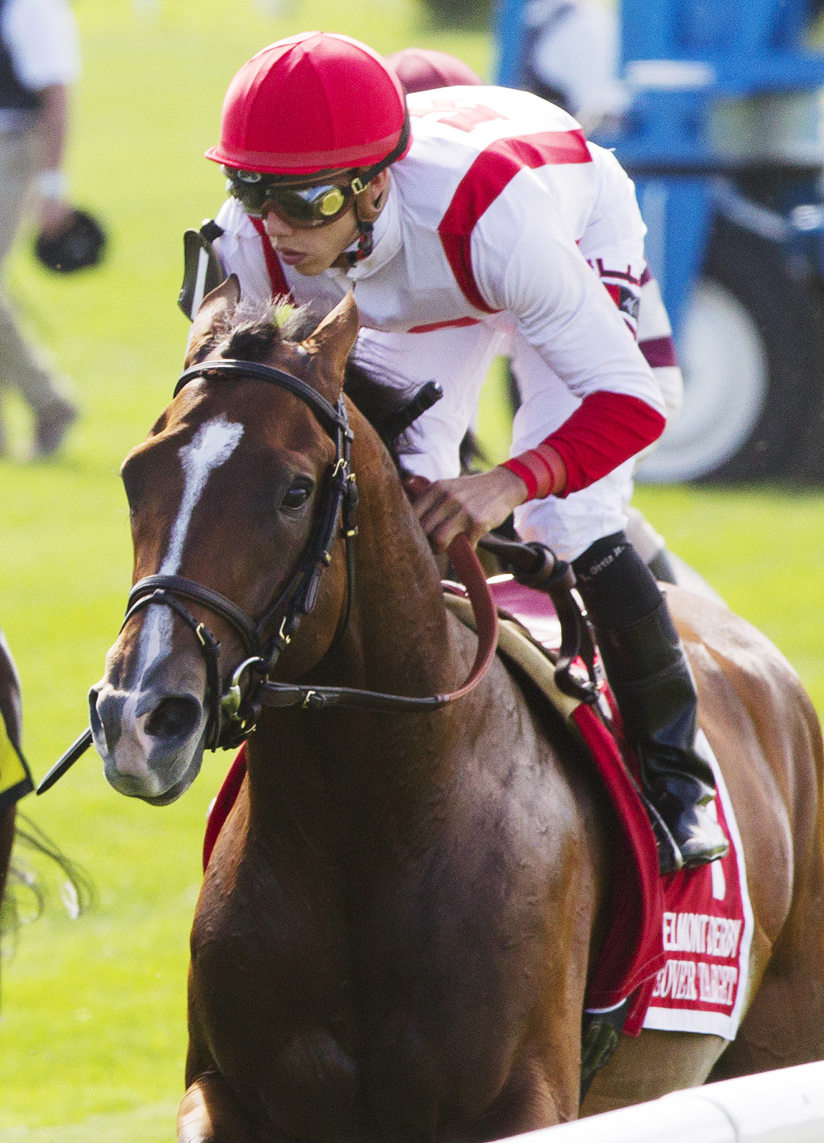 Takeover Target finishes fifth in the Belmont Derby
