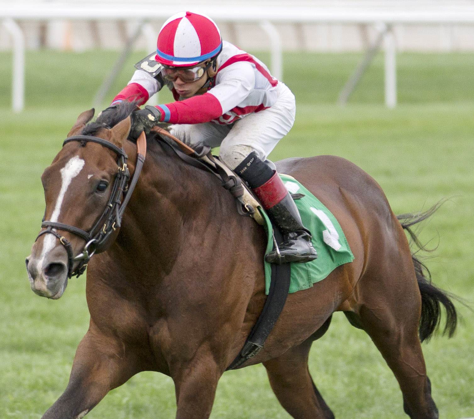 Takeover Target wins the 2015 Hill Prince Stakes