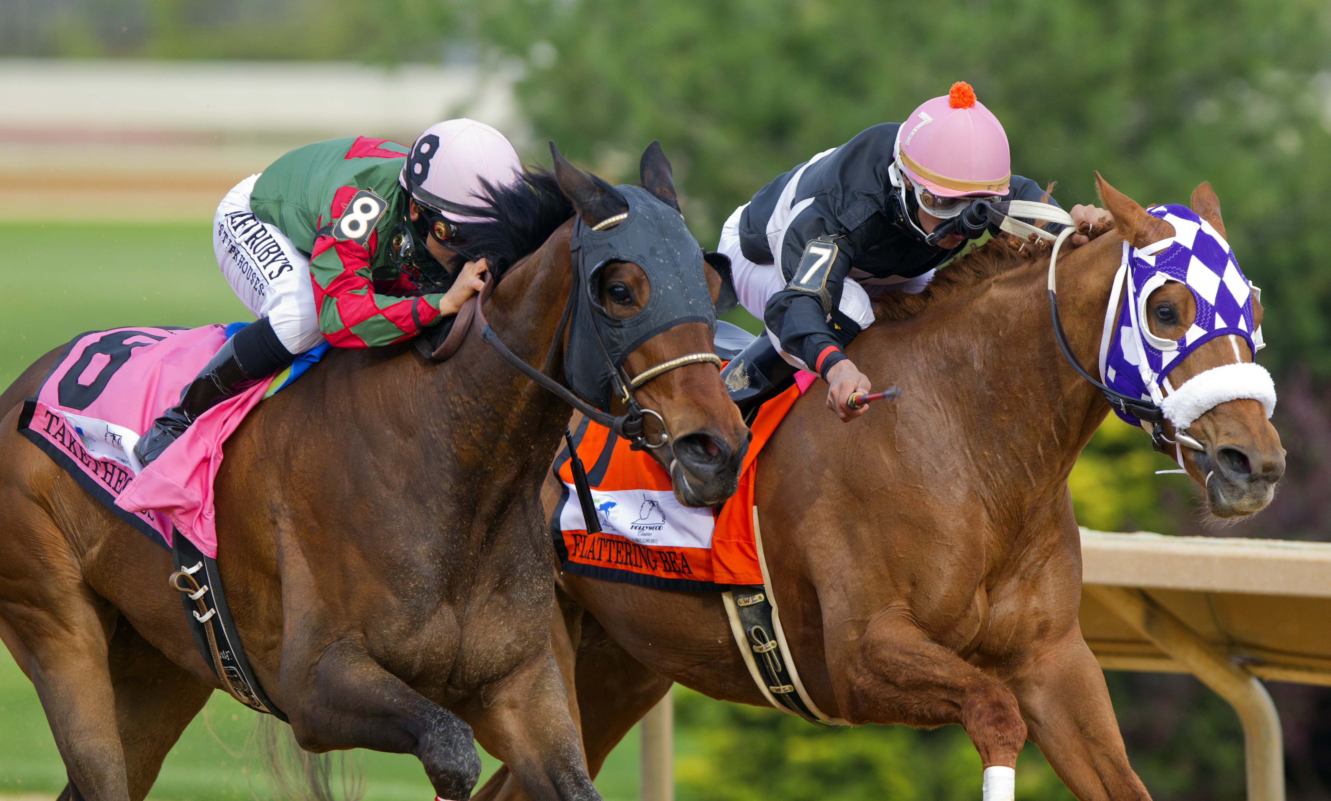 Taketheodds wins 2015 Sugar Maple