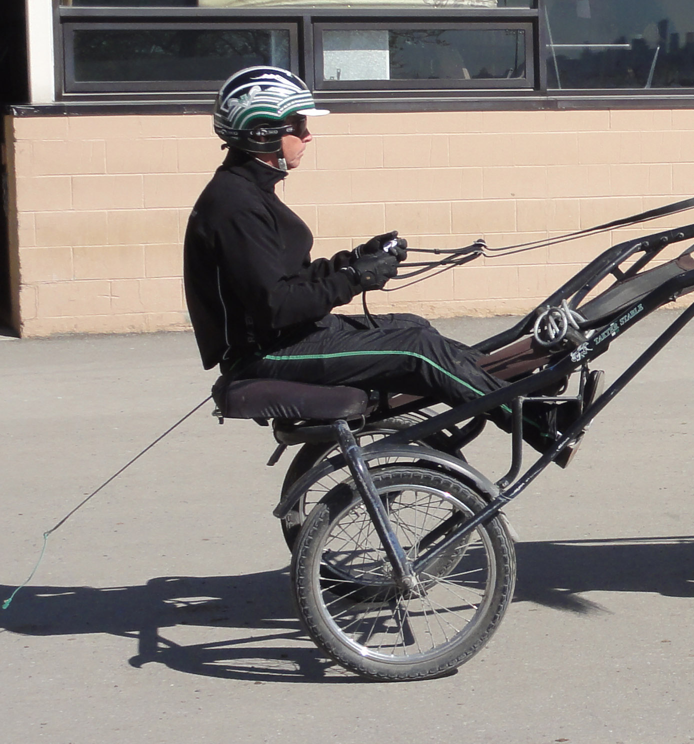 Jimmy Takter in jog cart