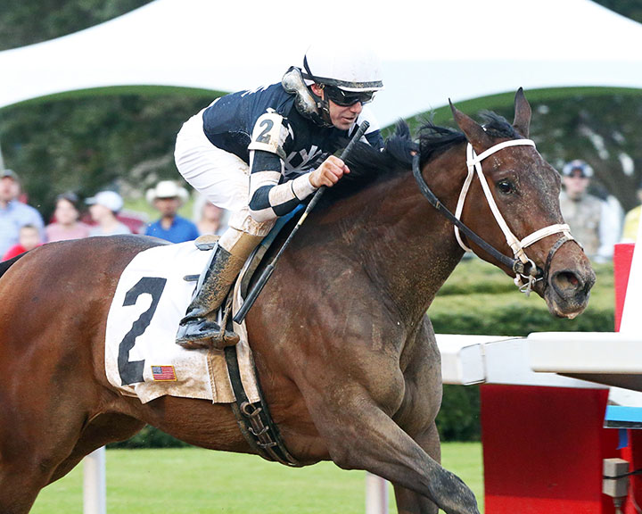 Joe Talamo guides Shedaresthedevil to victory in the Honeybee at Oaklawn Park