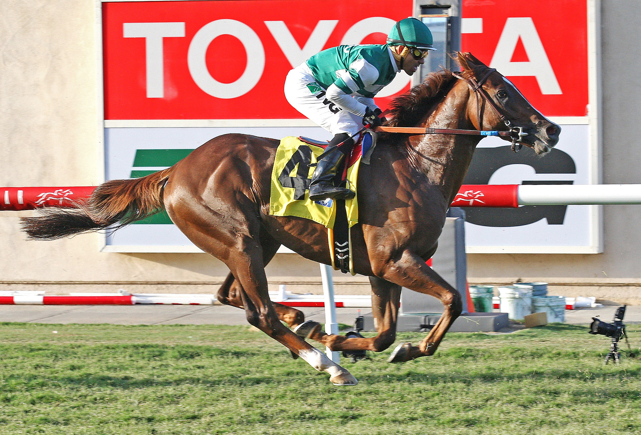 Talco finishes third in the Del Mar Derby